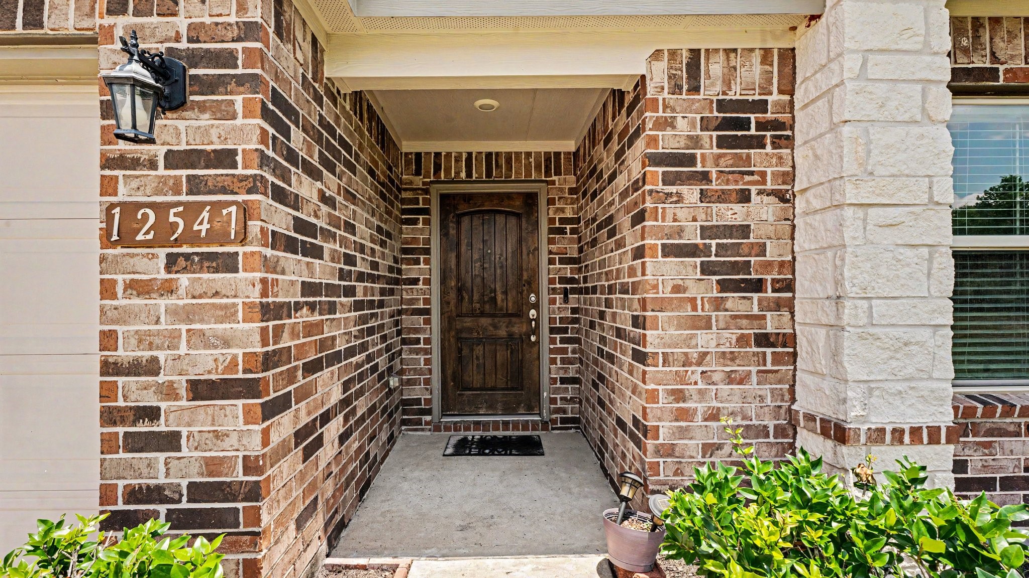 12547 Starry Summer Lane Property Photo 5