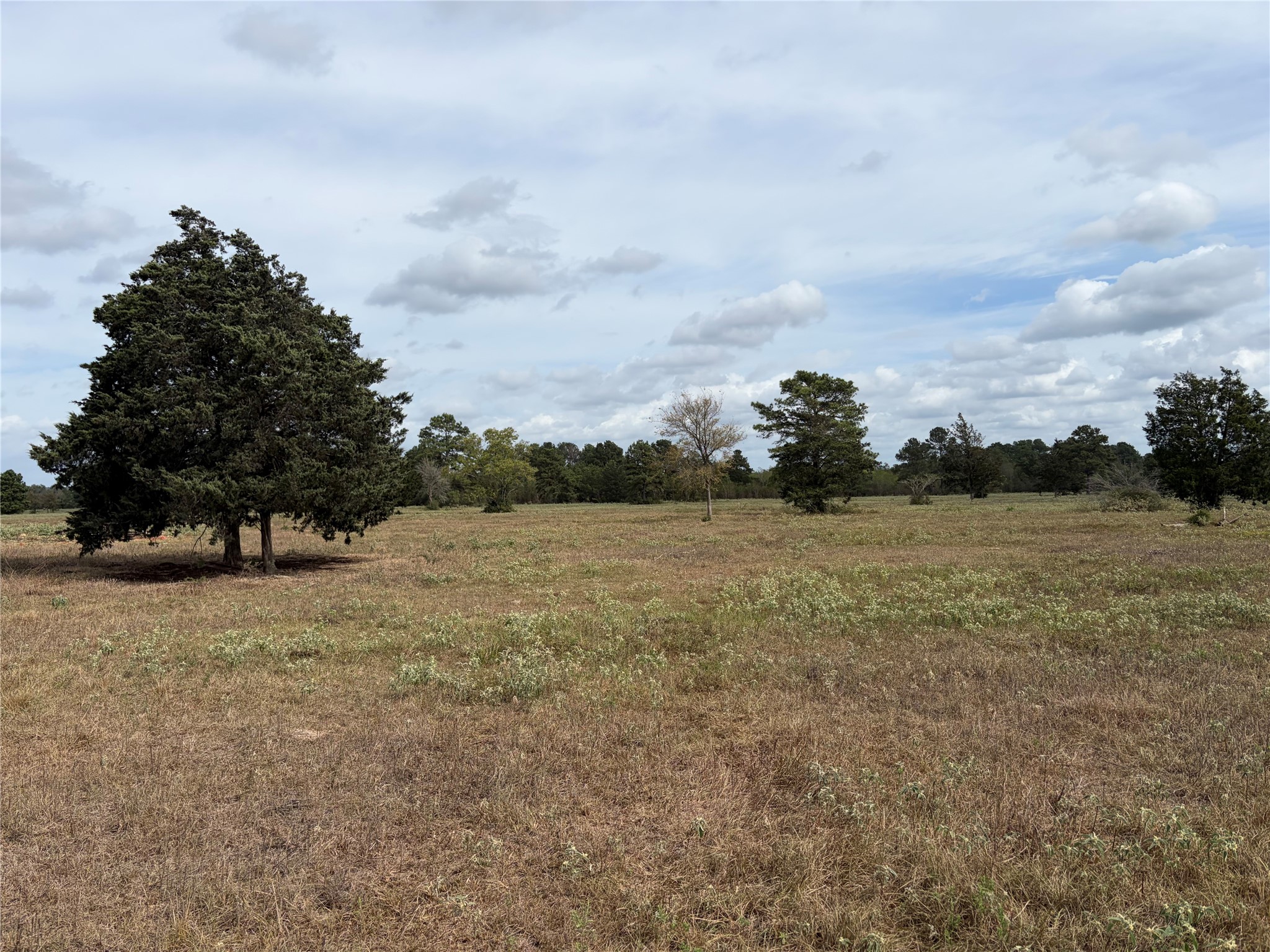 33450 Howell Road Property Photo 8