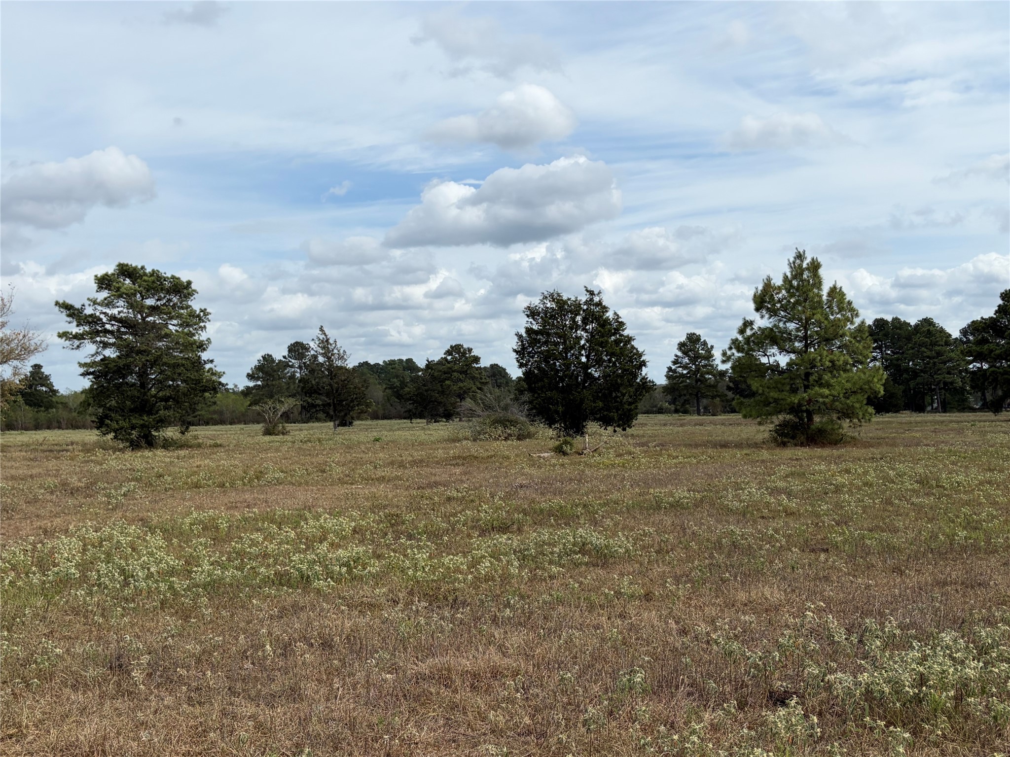 33450 Howell Road Property Photo 9