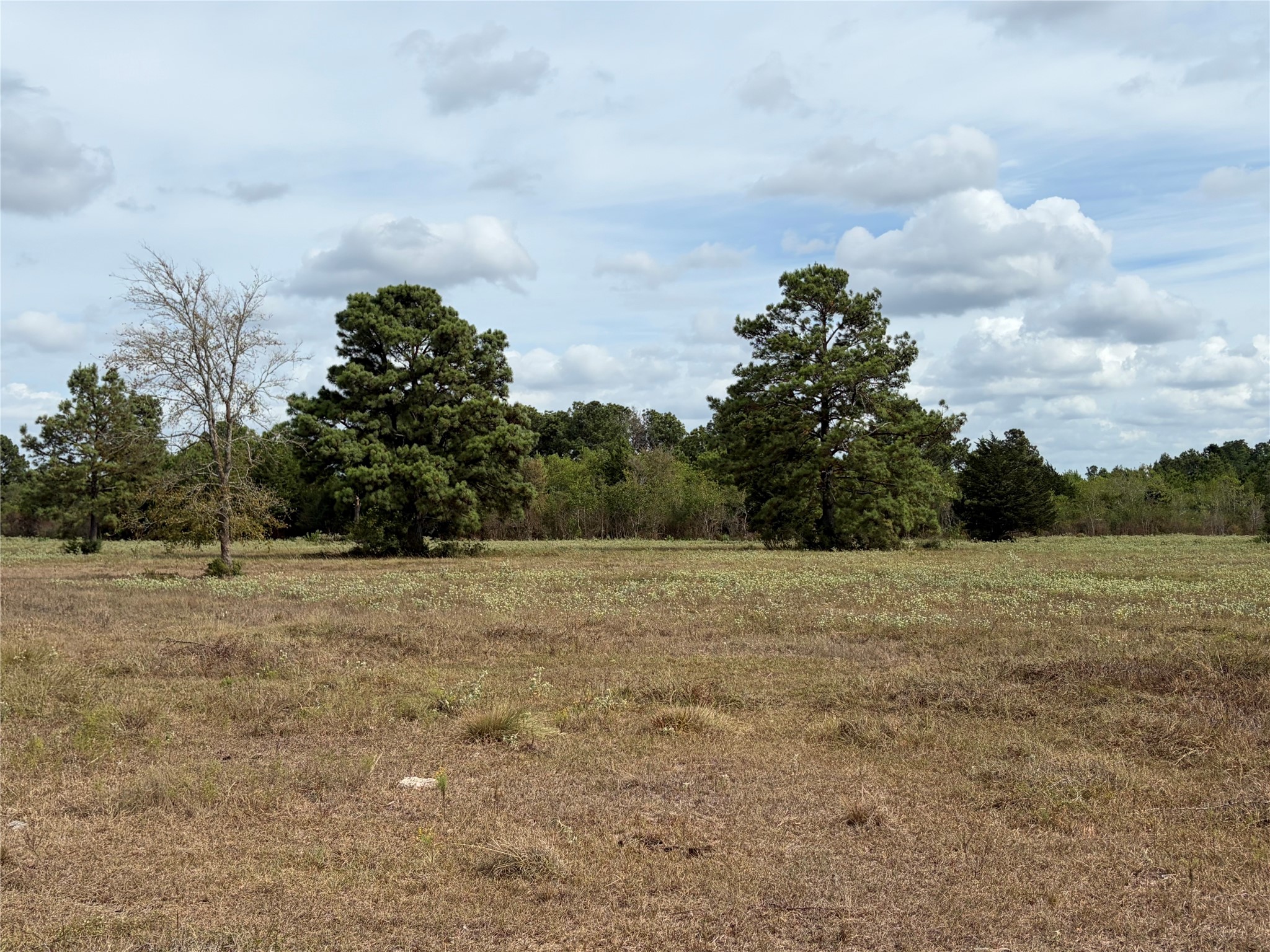 33450 Howell Road Property Photo 10