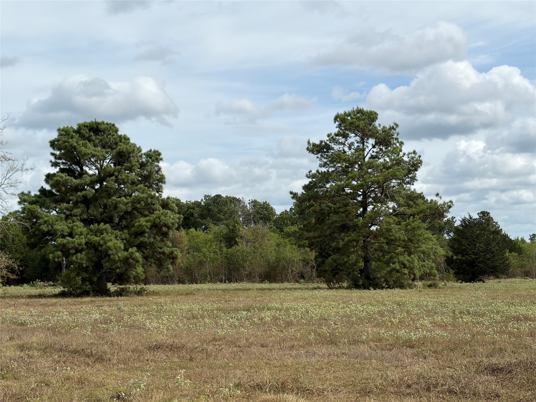 33450 Howell Road Property Photo 11