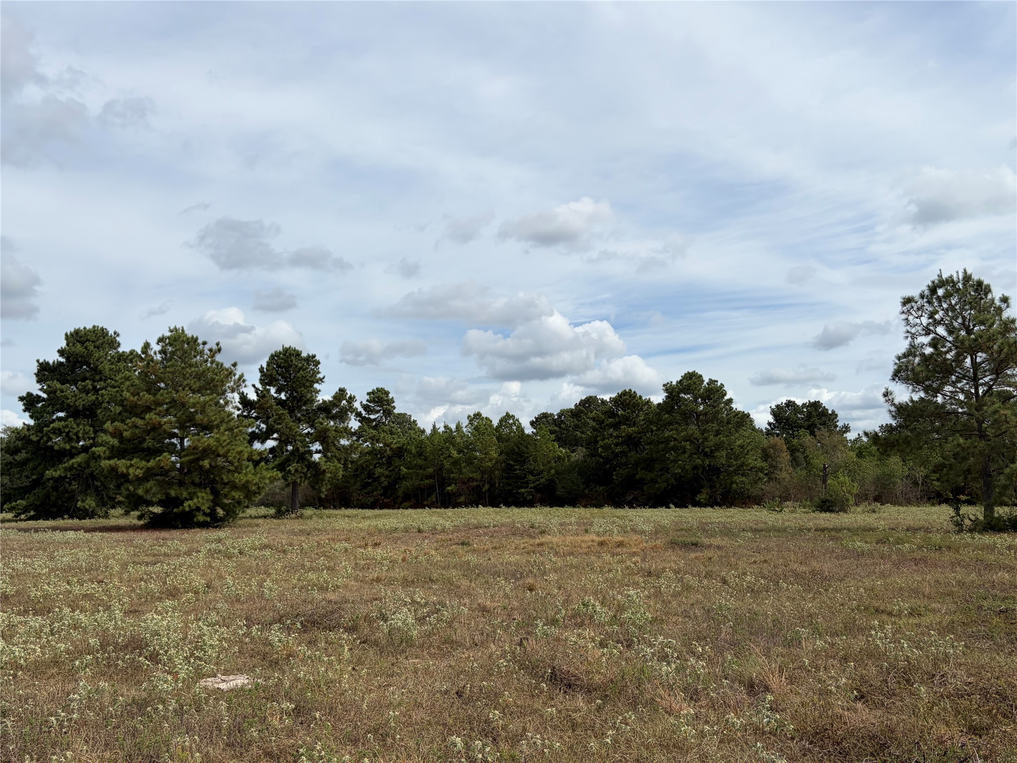 33450 Howell Road Property Photo 12