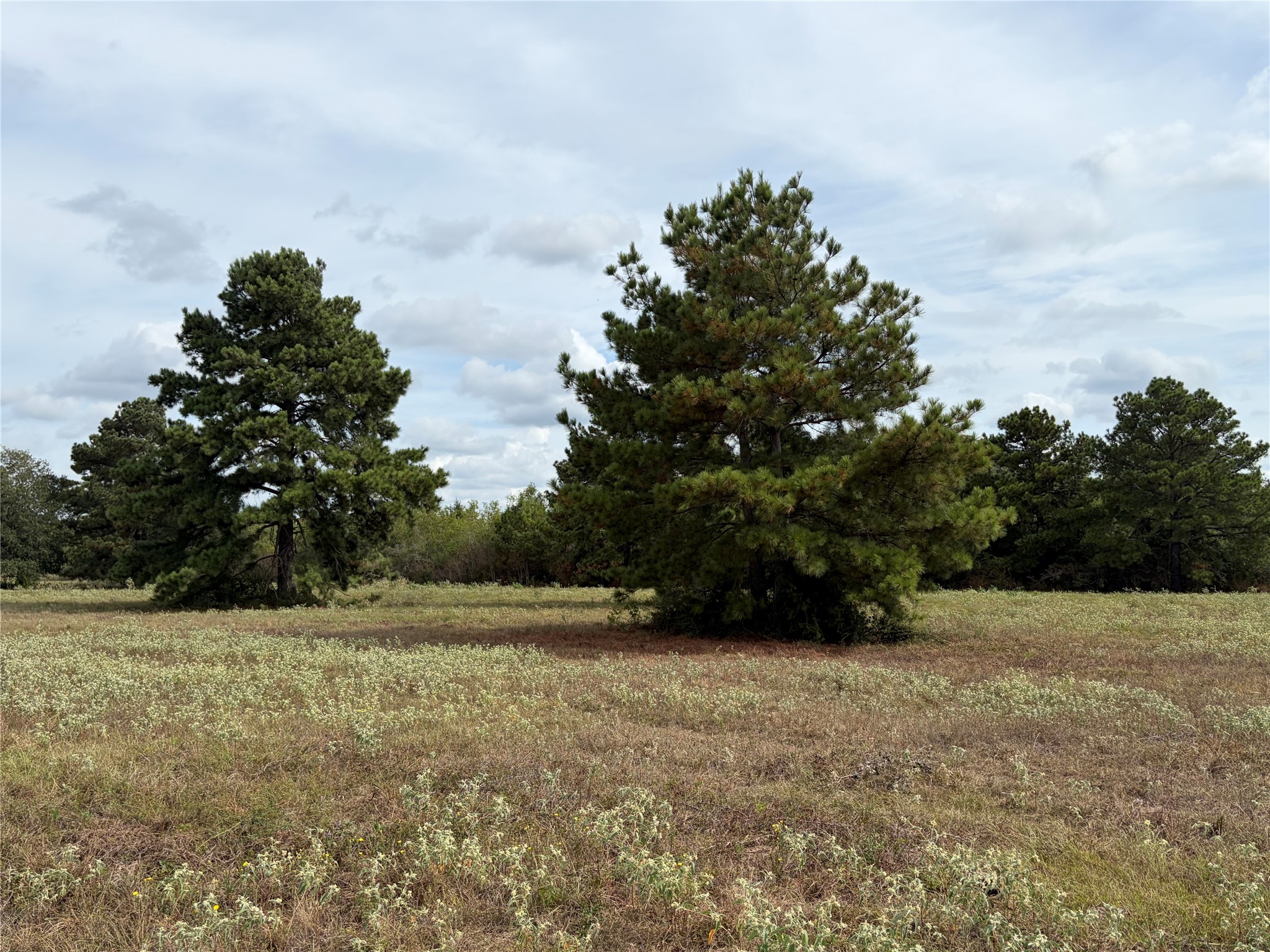 33450 Howell Road Property Photo 13