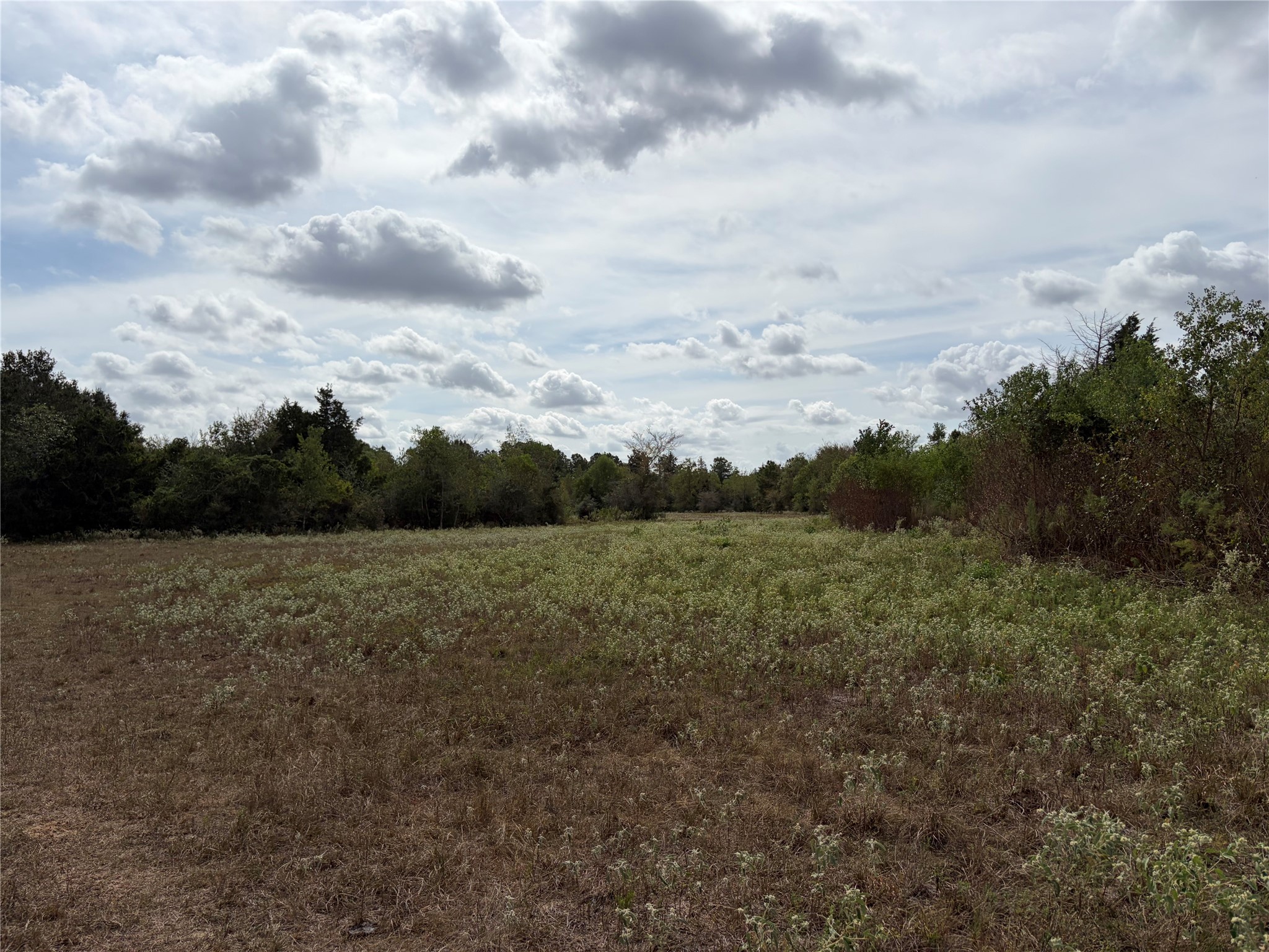 33450 Howell Road Property Photo 14