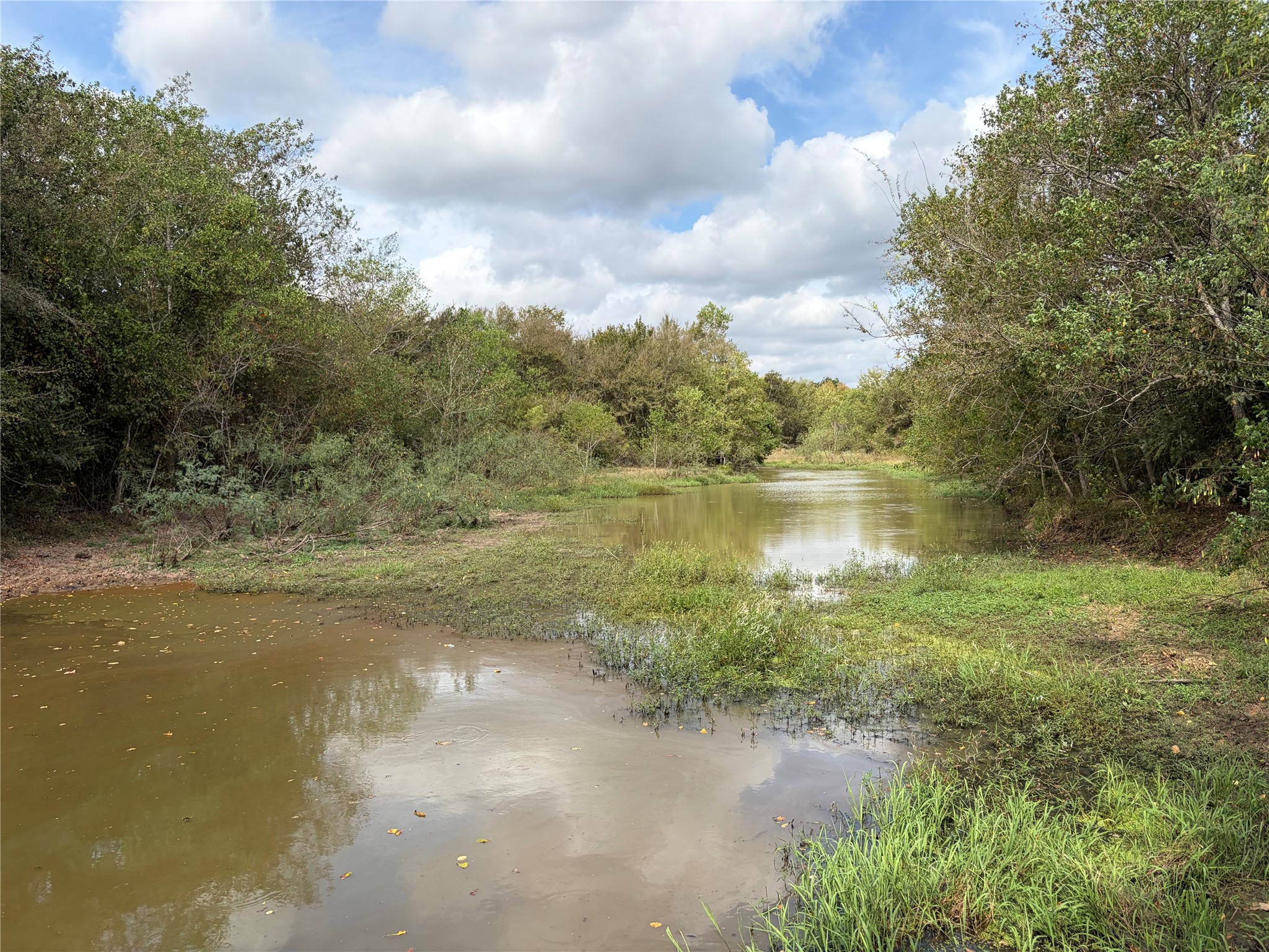 33450 Howell Road Property Photo 18