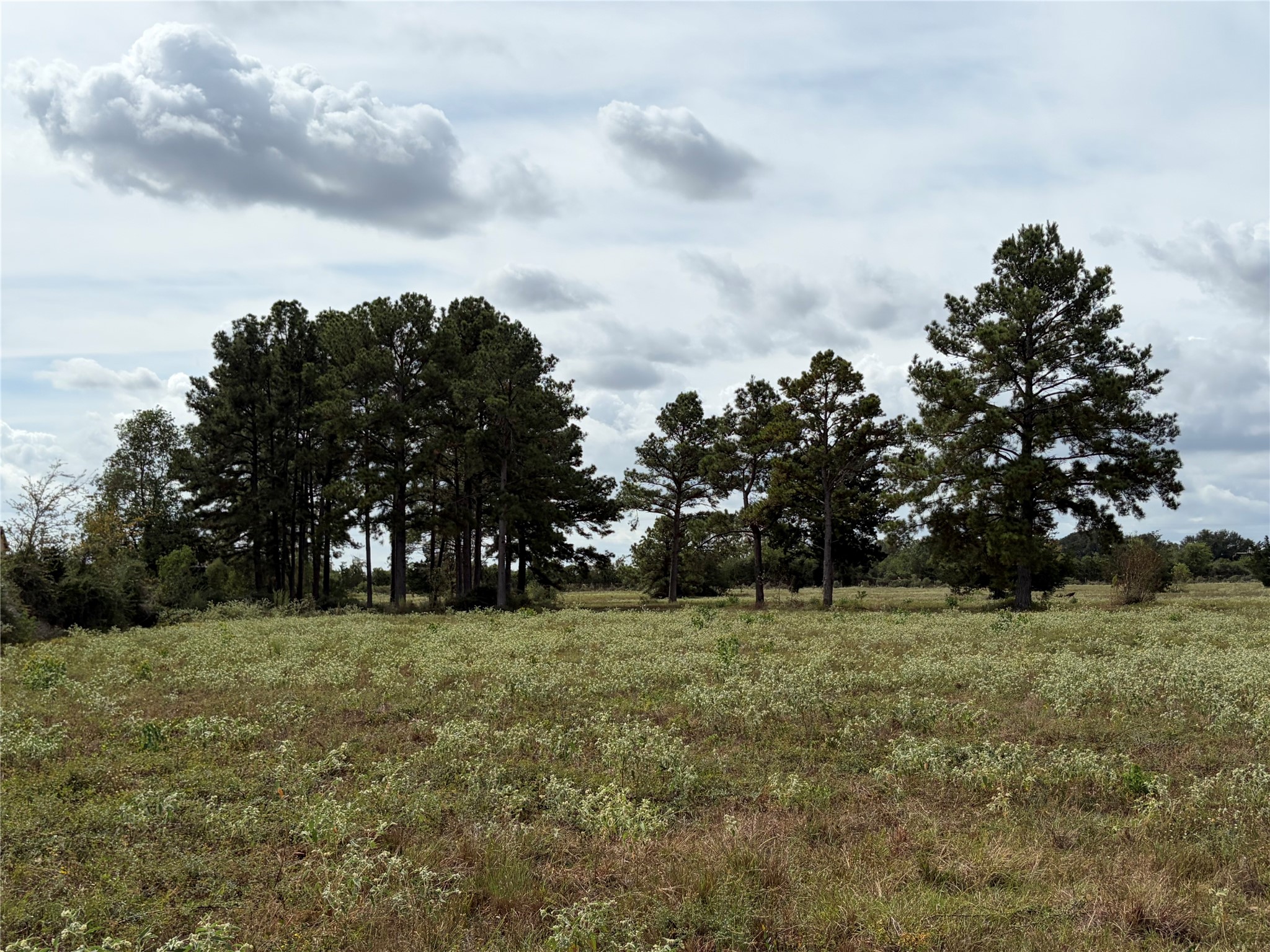 33450 Howell Road Property Photo 22