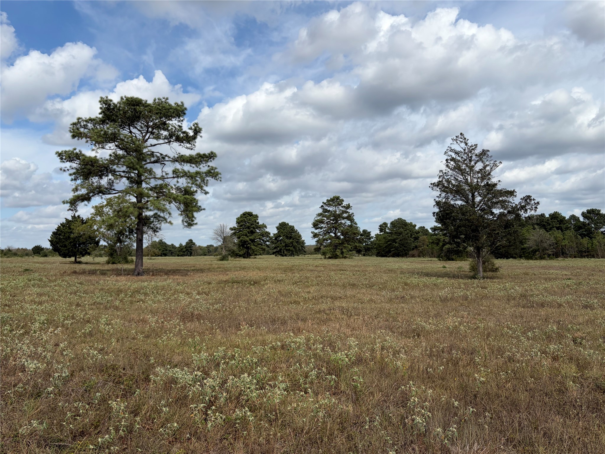 33450 Howell Road Property Photo 23