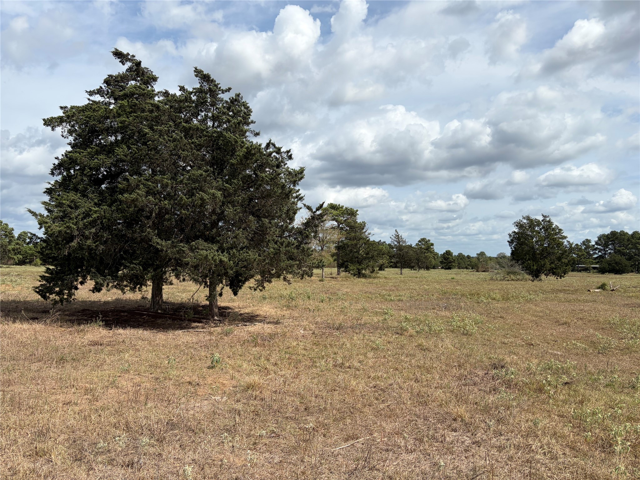 33450 Howell Road Property Photo 24