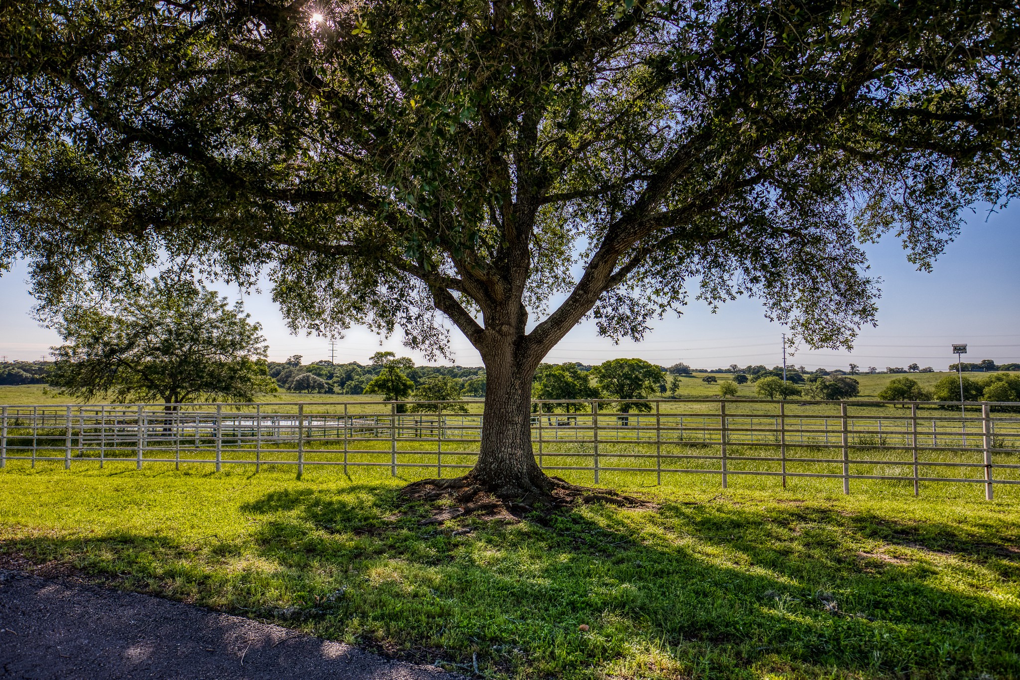 Lot 7000 S Fm 332 S Property Photo 17