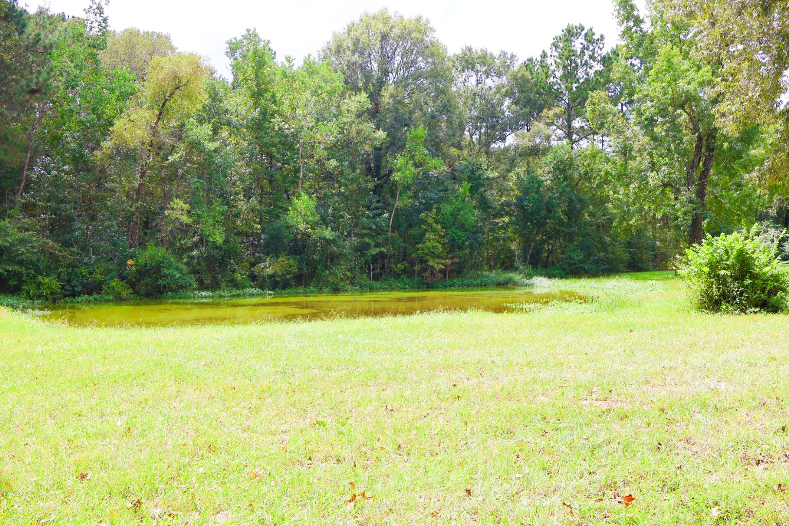 695 And 697 County Rd 2309 Property Photo 40