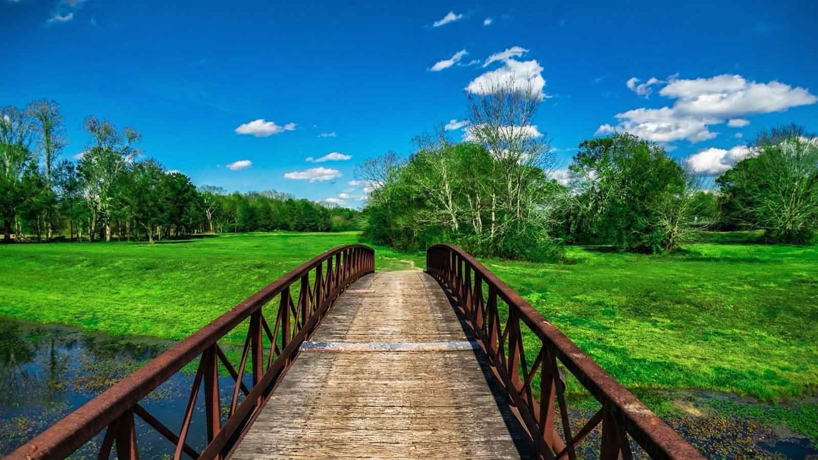 2501 Barton Creek Trail Property Photo 15