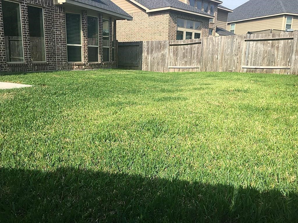 27802 Amy Willow Lane Property Photo 30