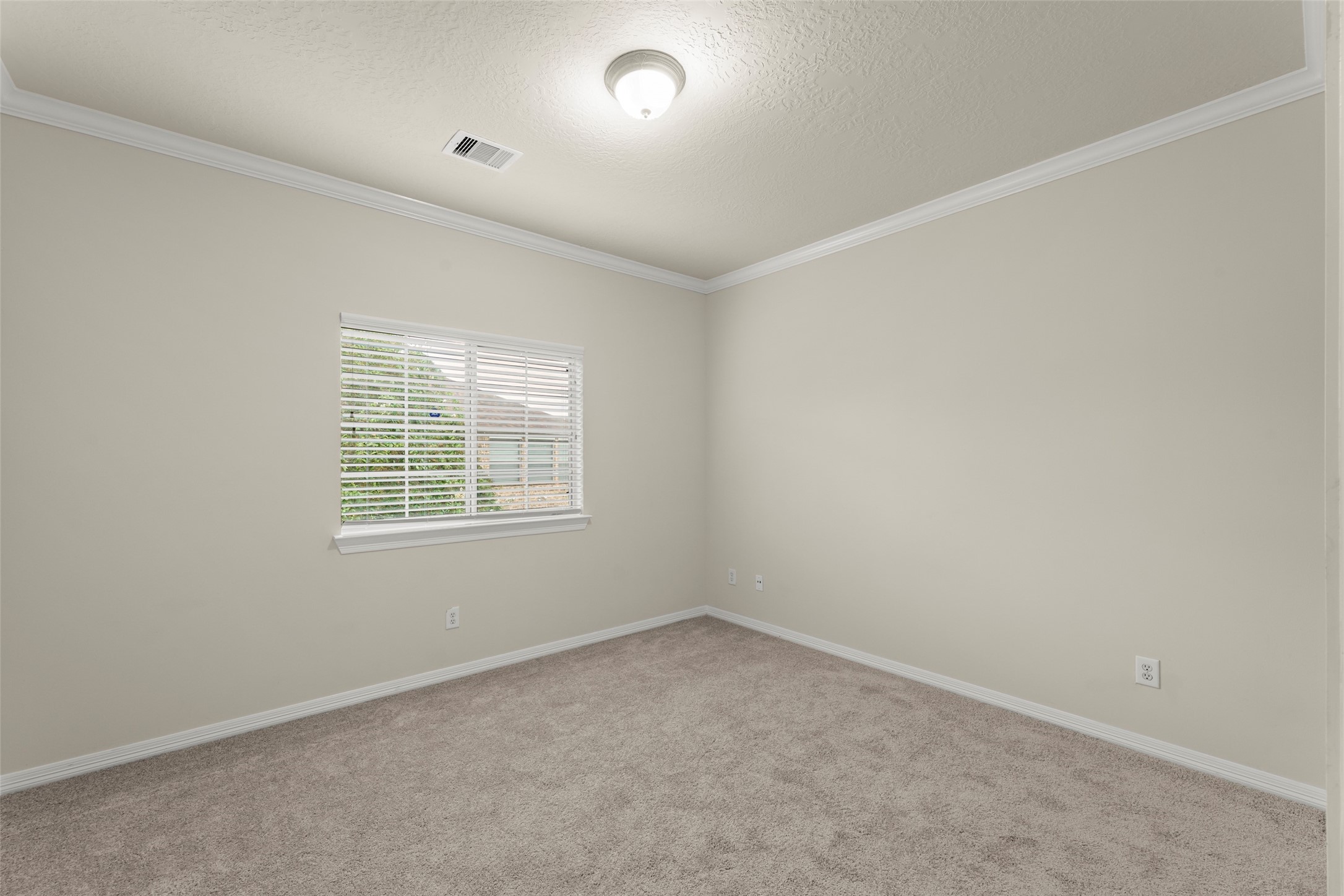 1126 Sopris Drive Property Photo 14