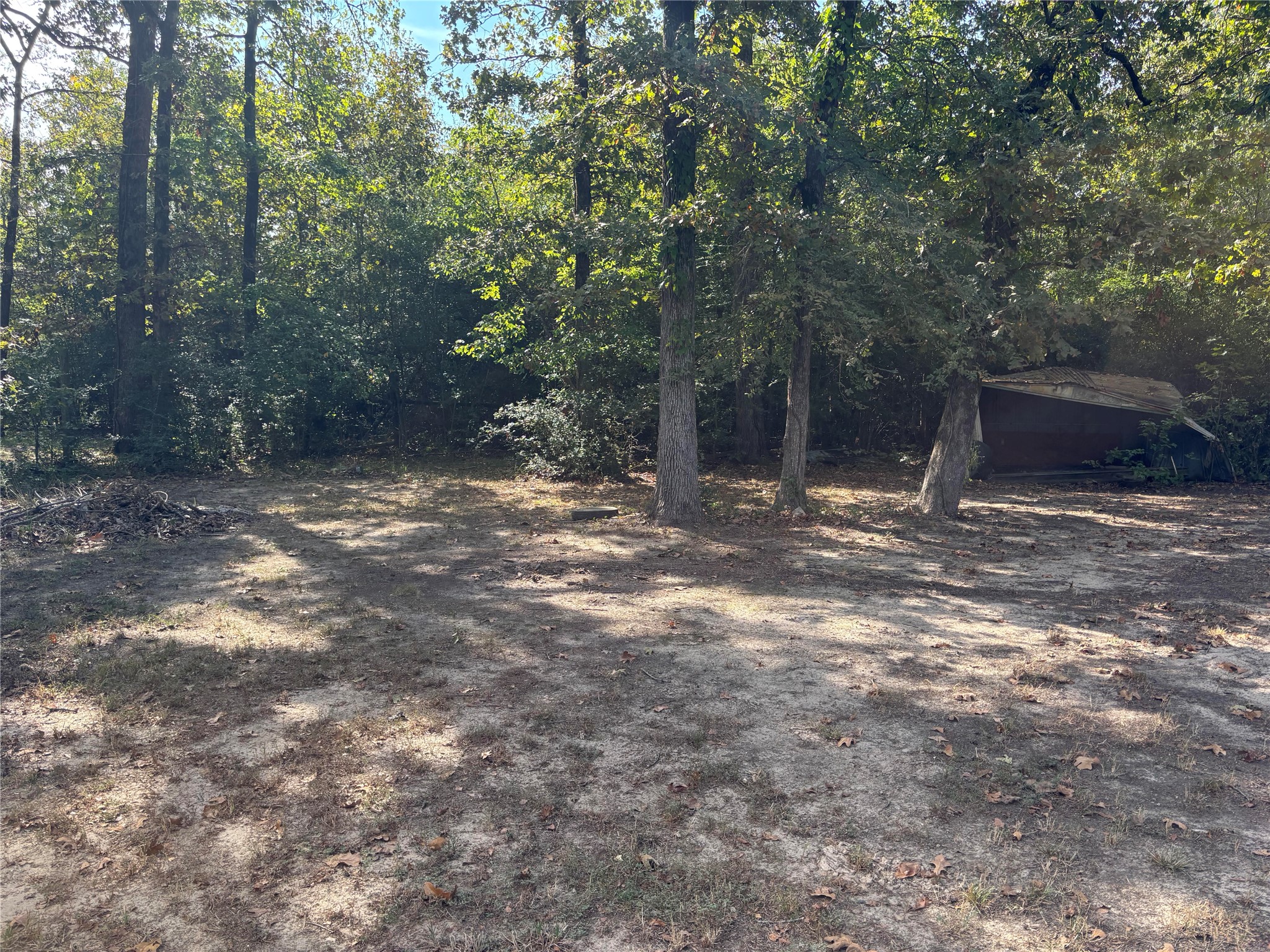 1311 Big Hawg Drive Property Photo 5