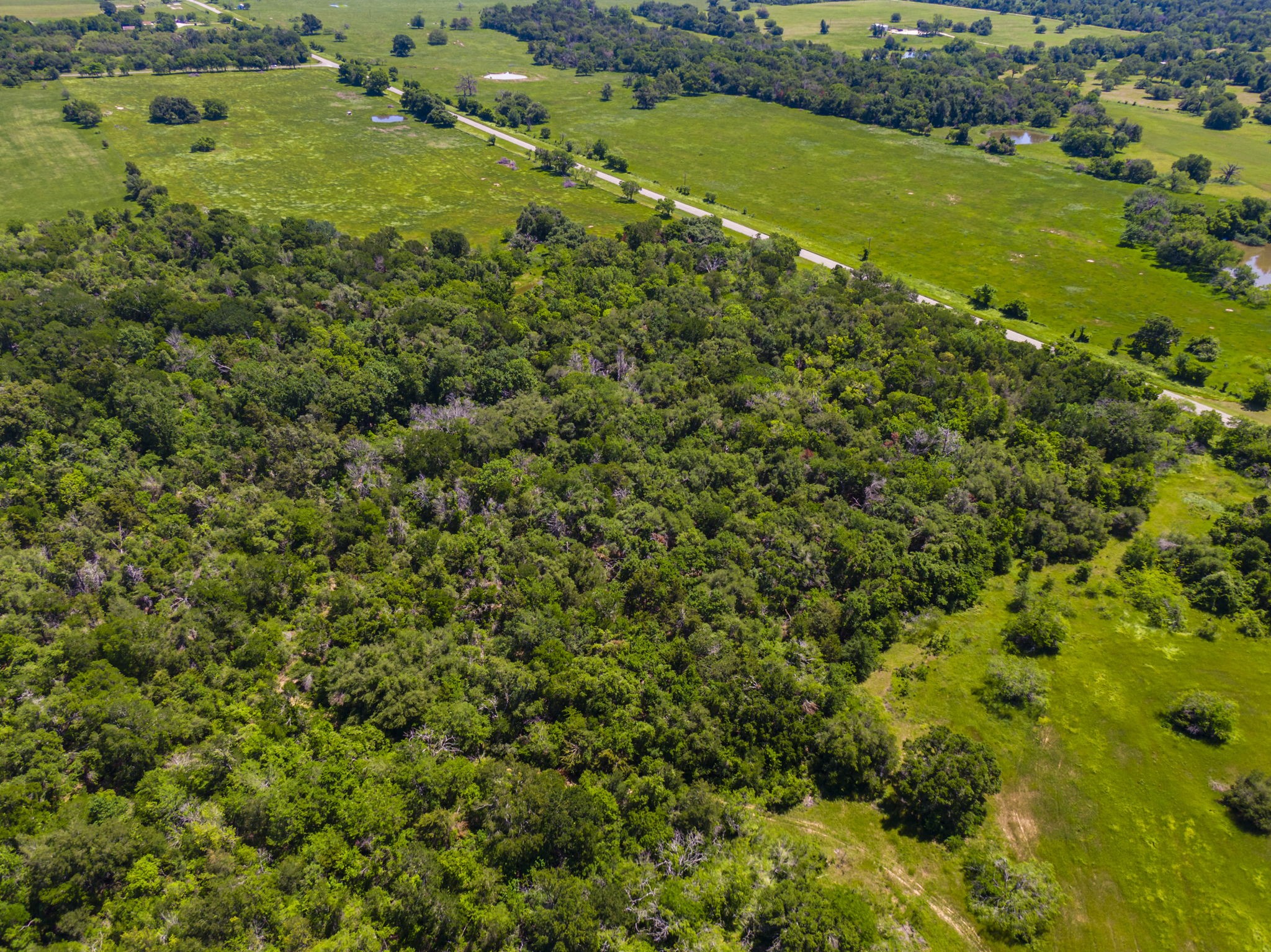 Tbd Fm 1771 - Fm-3144 Property Photo 10