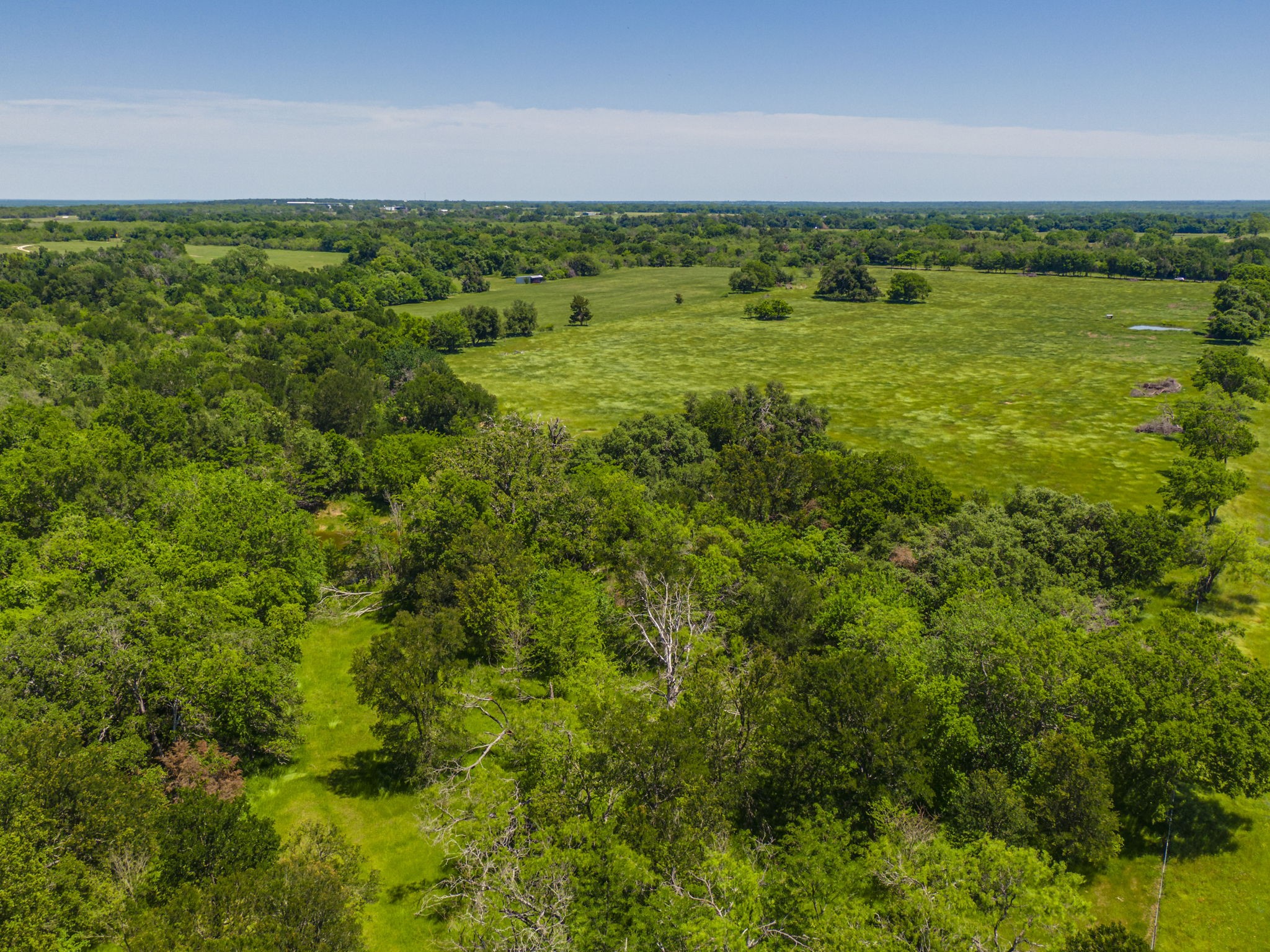 Tbd Fm 1771 - Fm-3144 Property Photo 13