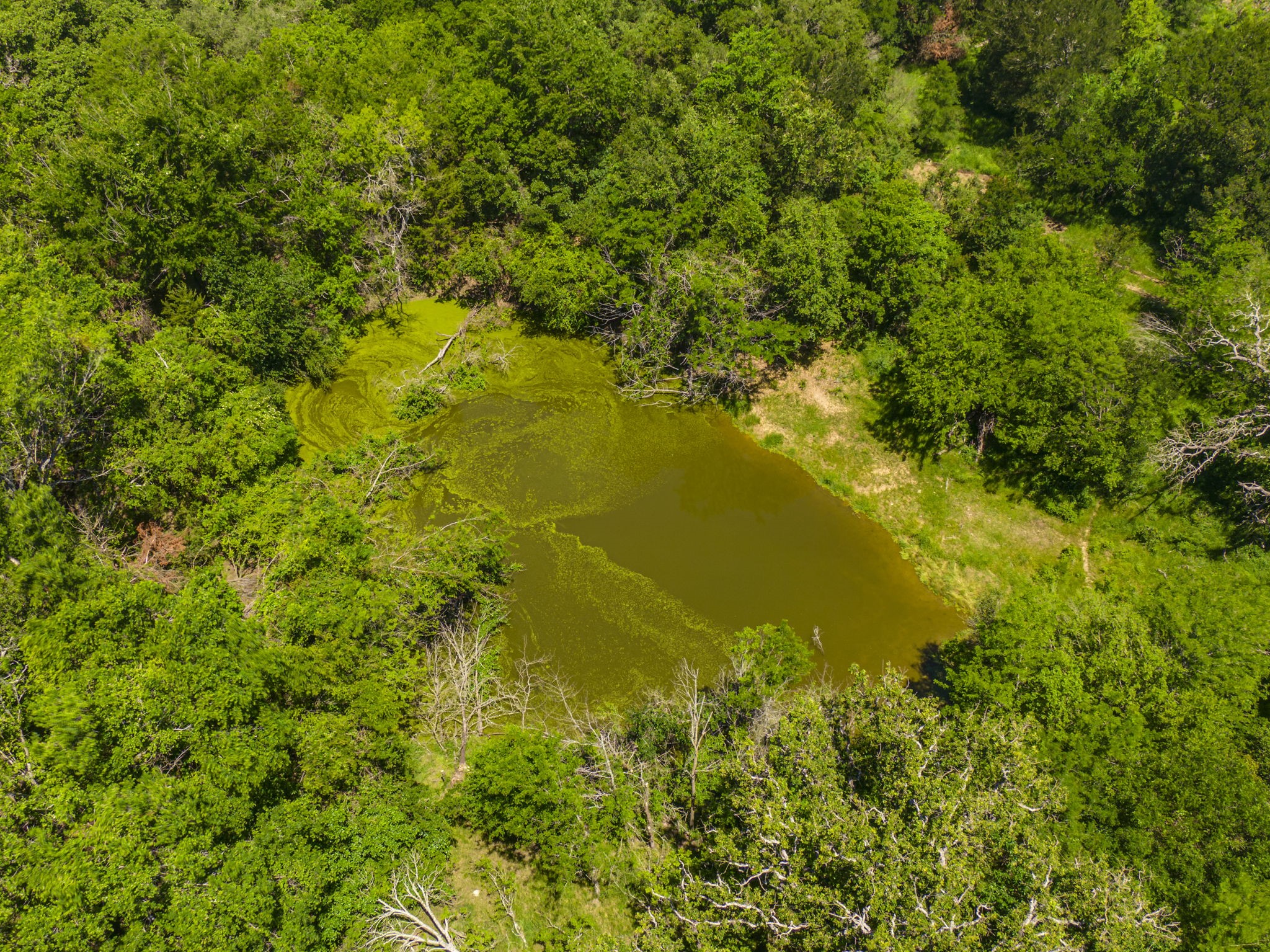 Tbd Fm 1771 - Fm-3144 Property Photo 14