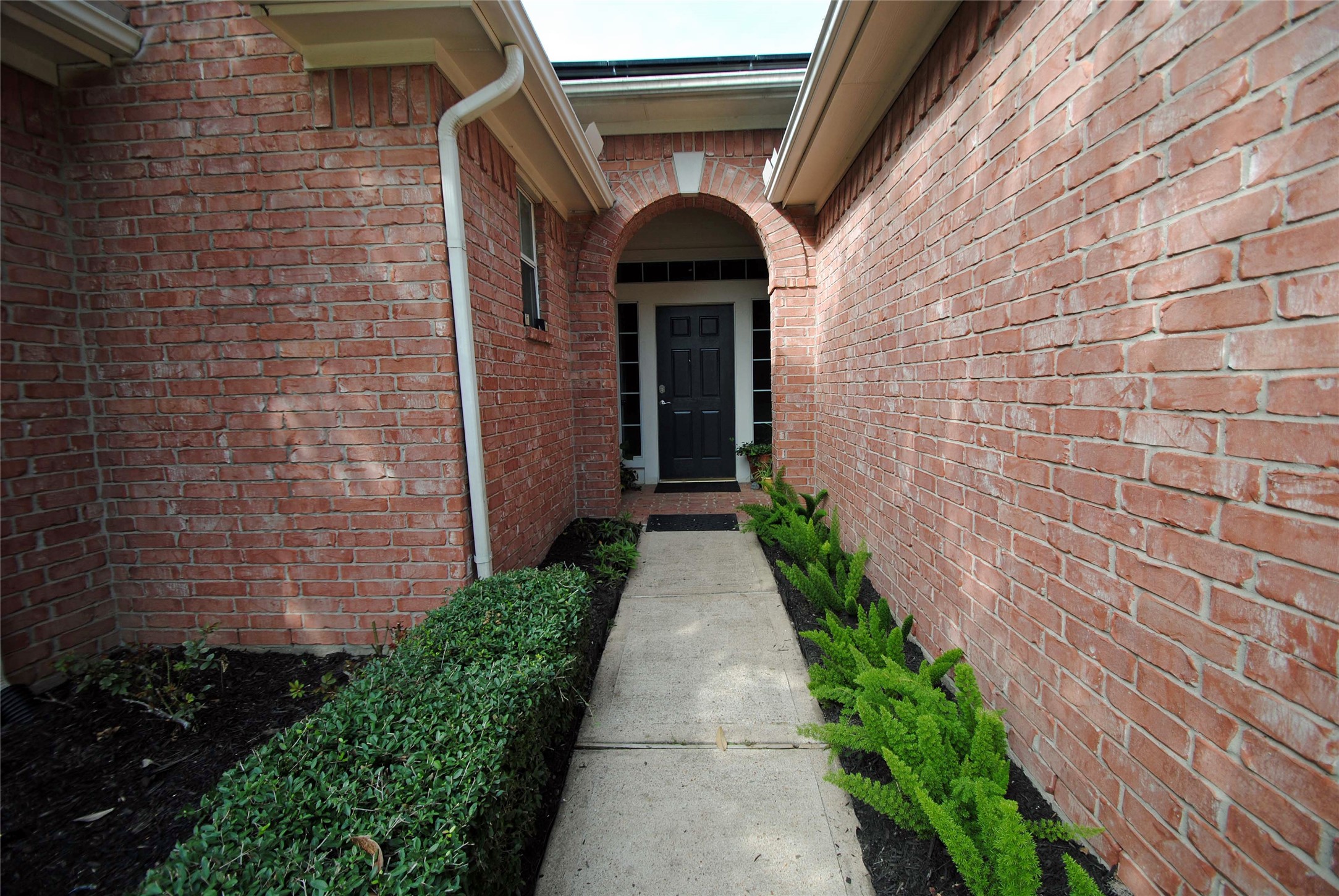 10519 Village Lake Drive Property Photo 3