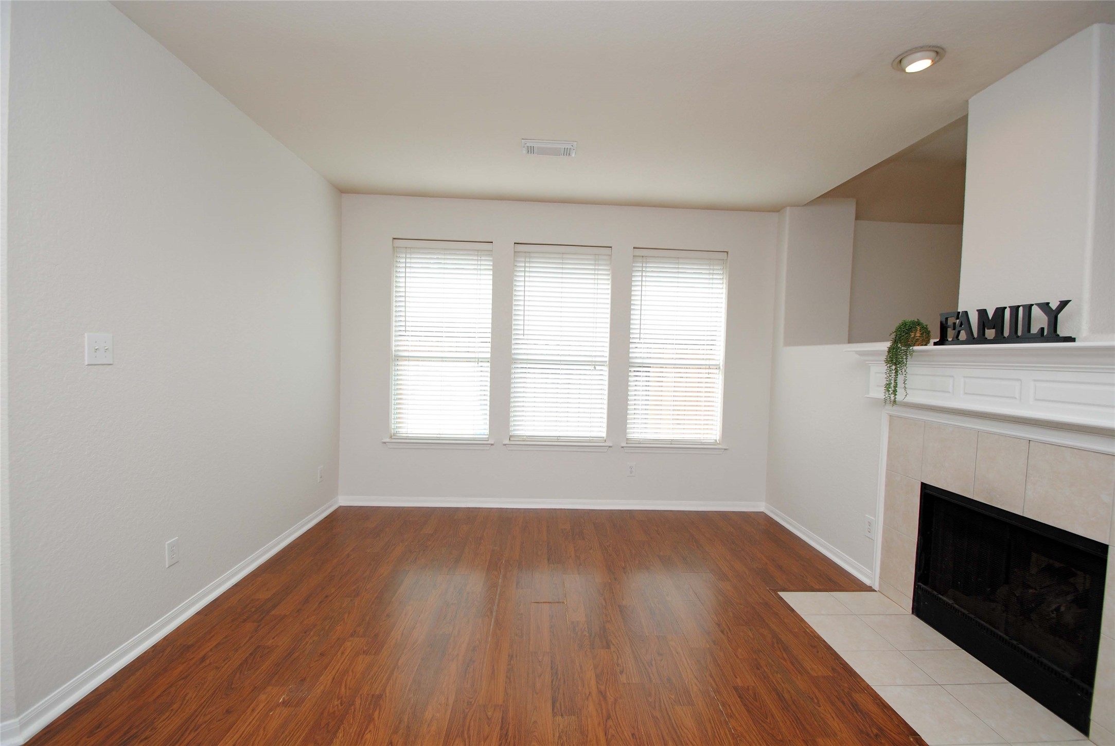 10519 Village Lake Drive Property Photo 7