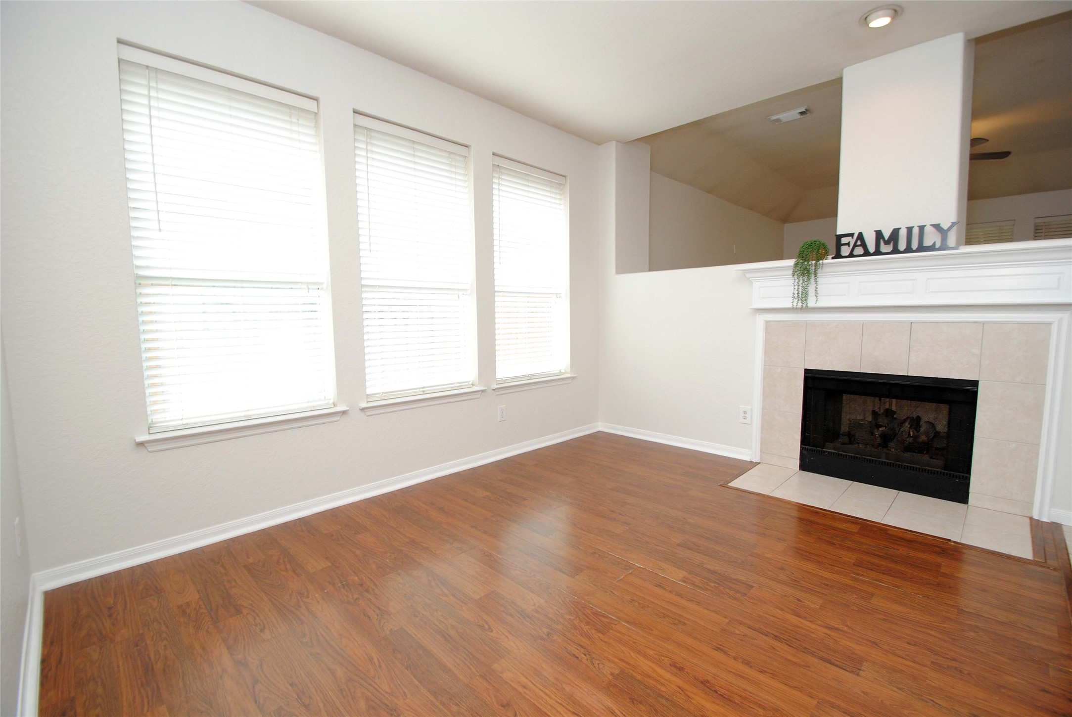 10519 Village Lake Drive Property Photo 8