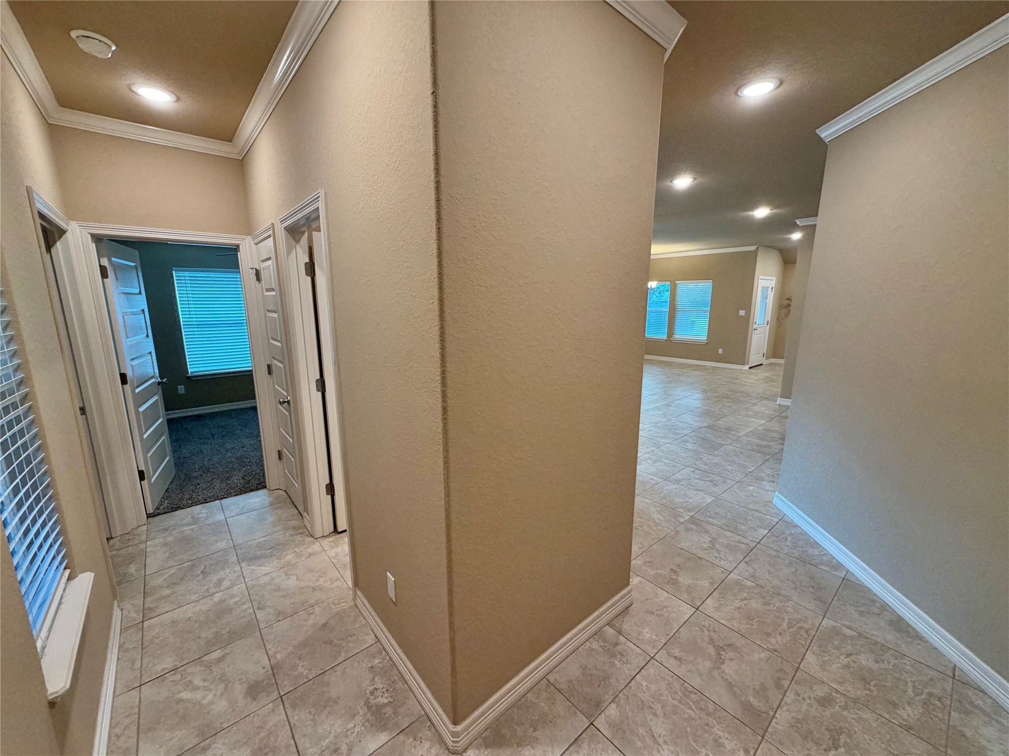 62 Nelson Court Property Photo 3