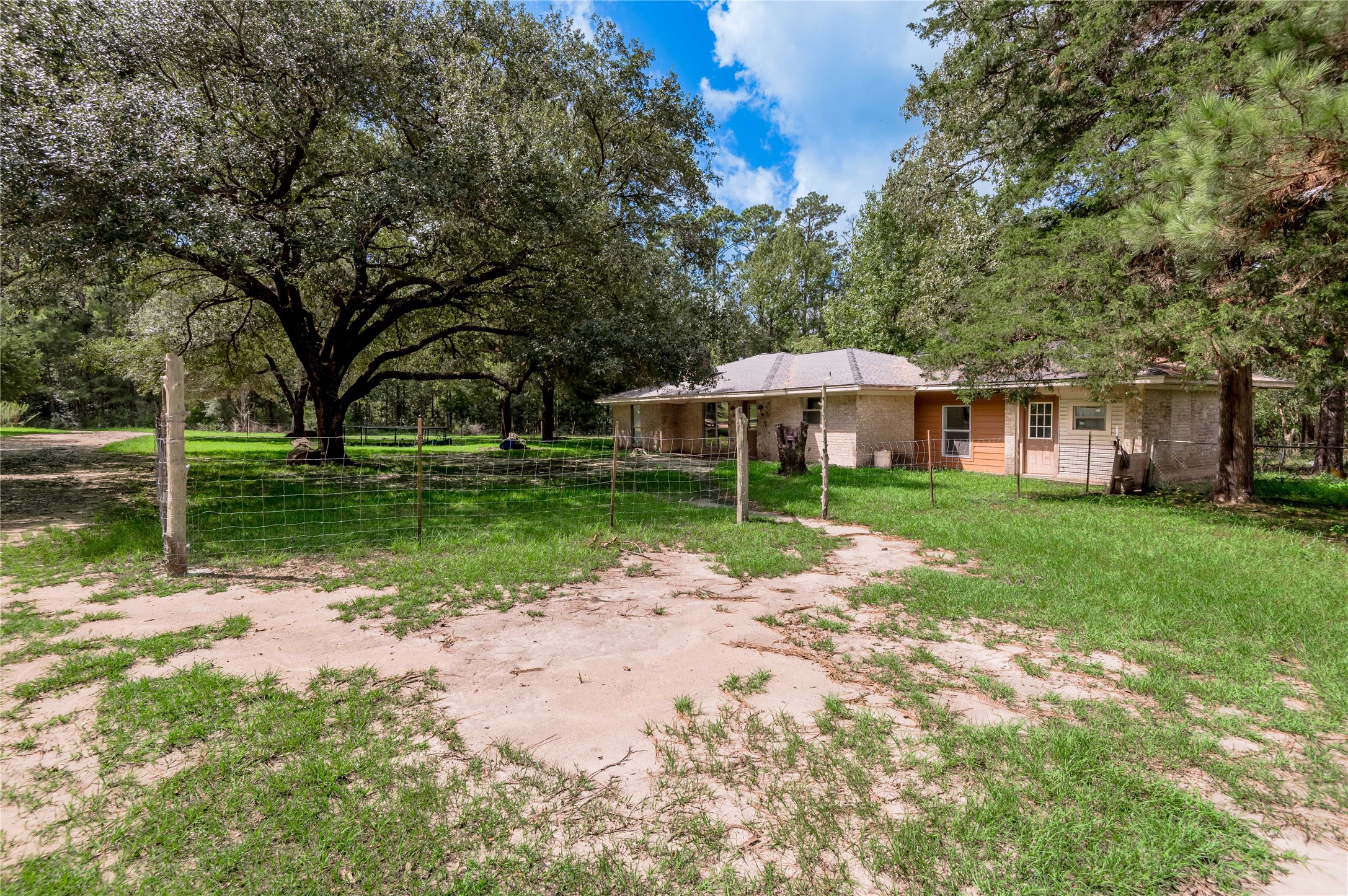 347 Shelby Property Photo 1