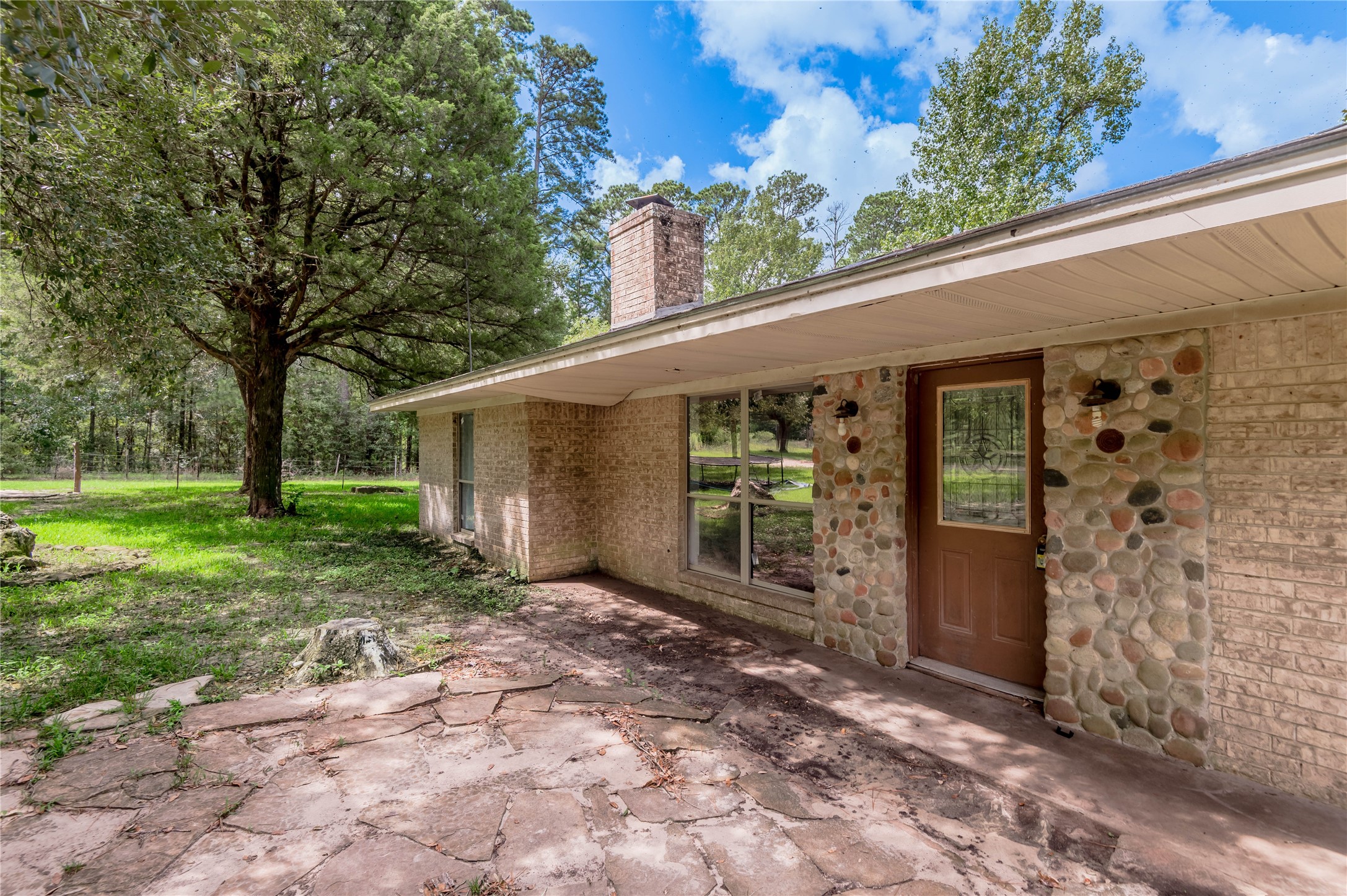 347 Shelby Property Photo 6