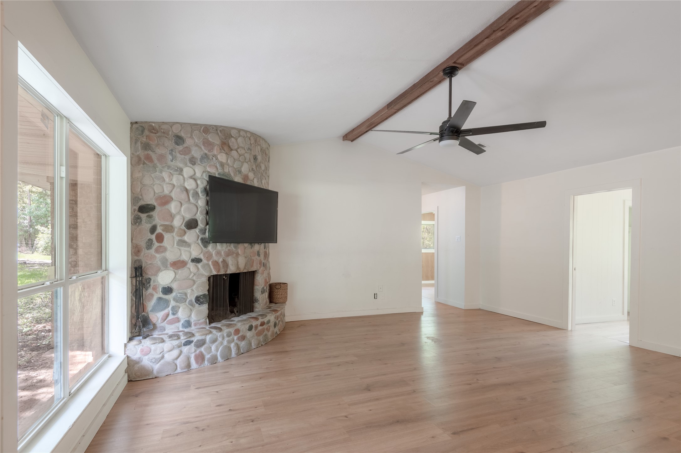 347 Shelby Property Photo 9