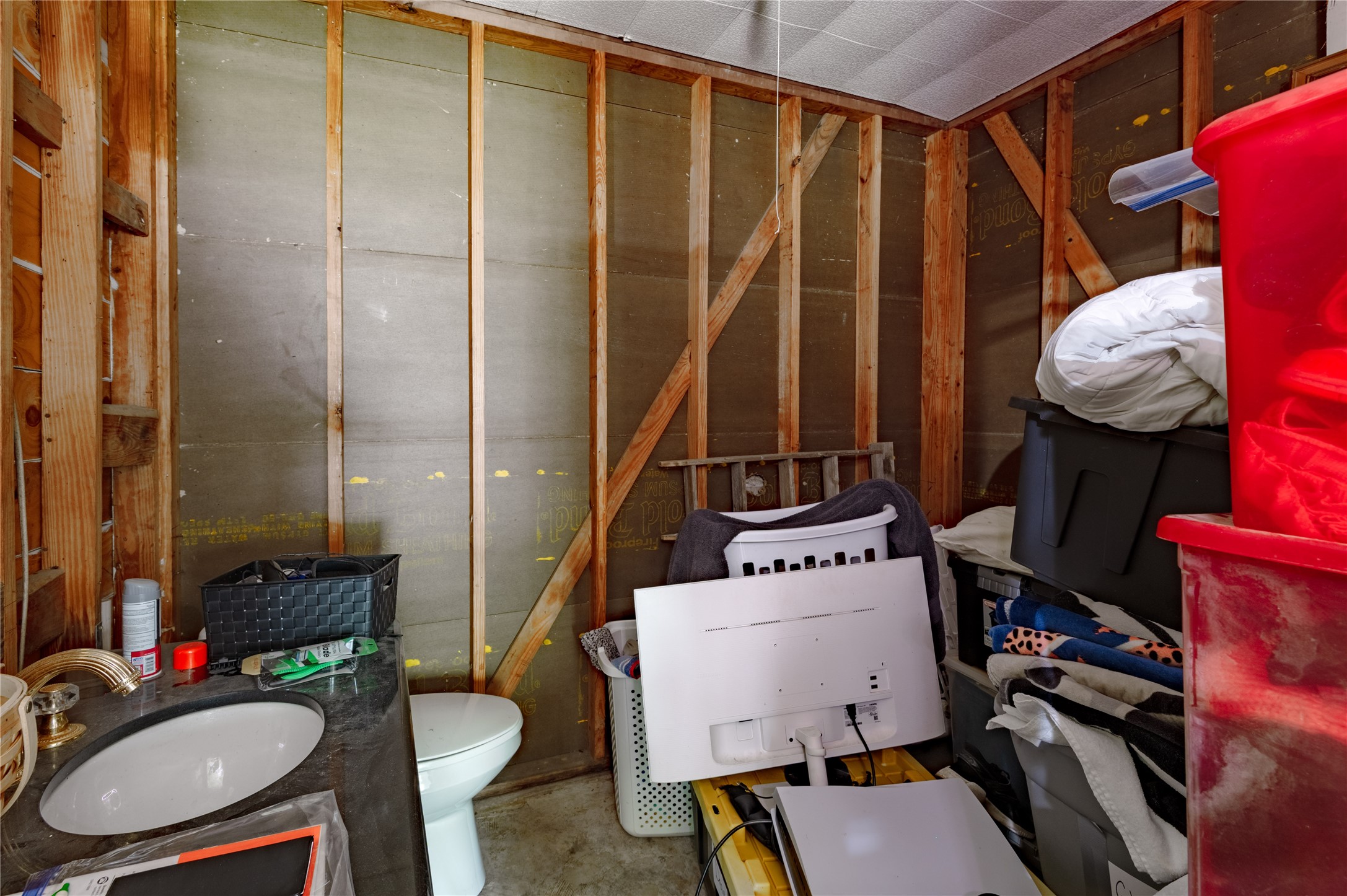 347 Shelby Property Photo 25