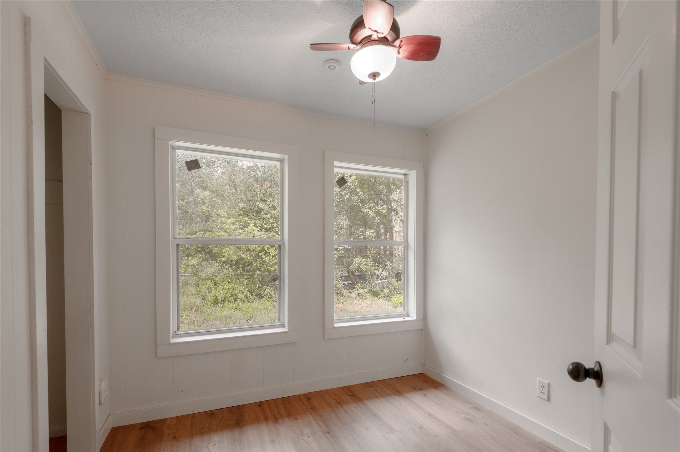 347 Shelby Property Photo 27