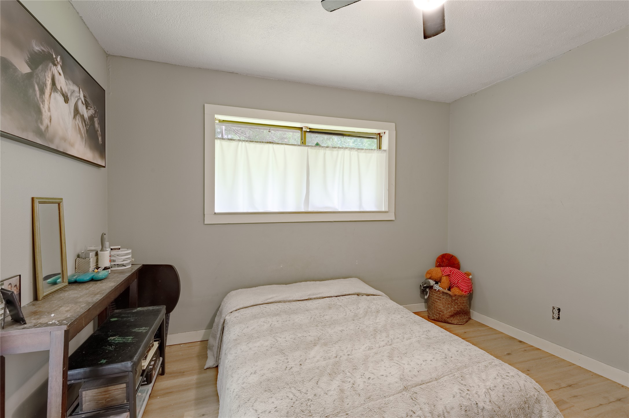 347 Shelby Property Photo 29