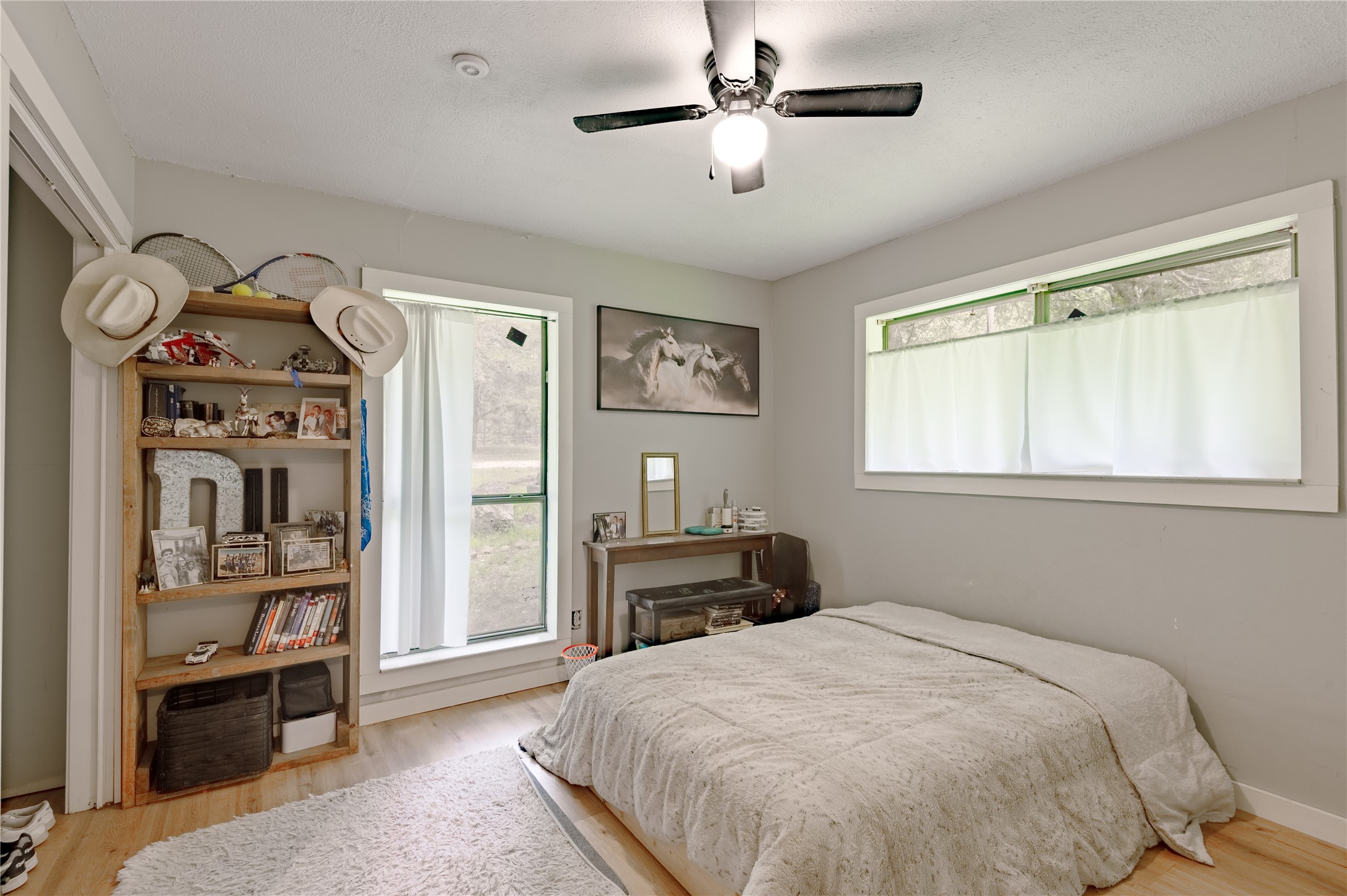 347 Shelby Property Photo 32