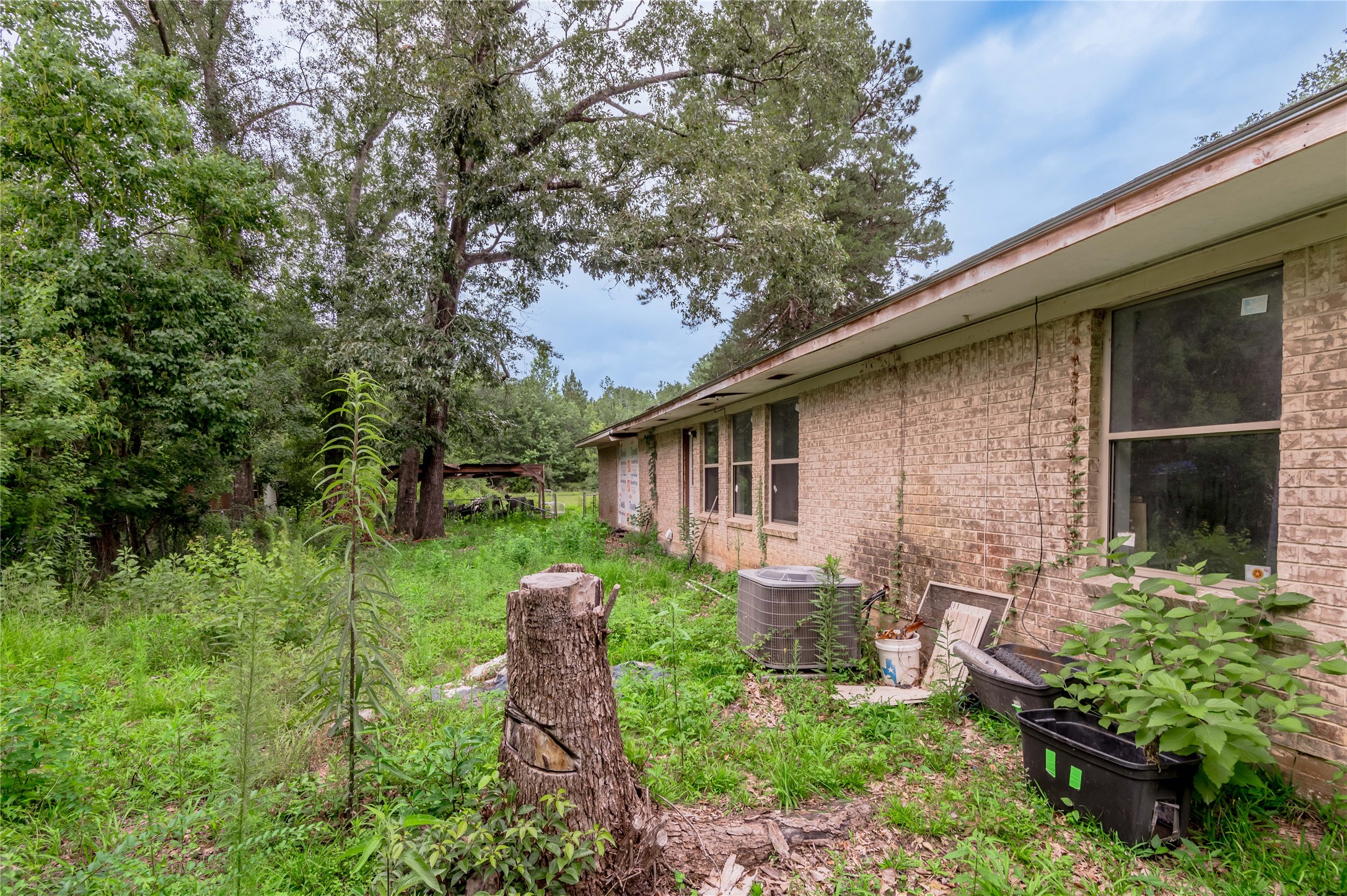 347 Shelby Property Photo 38