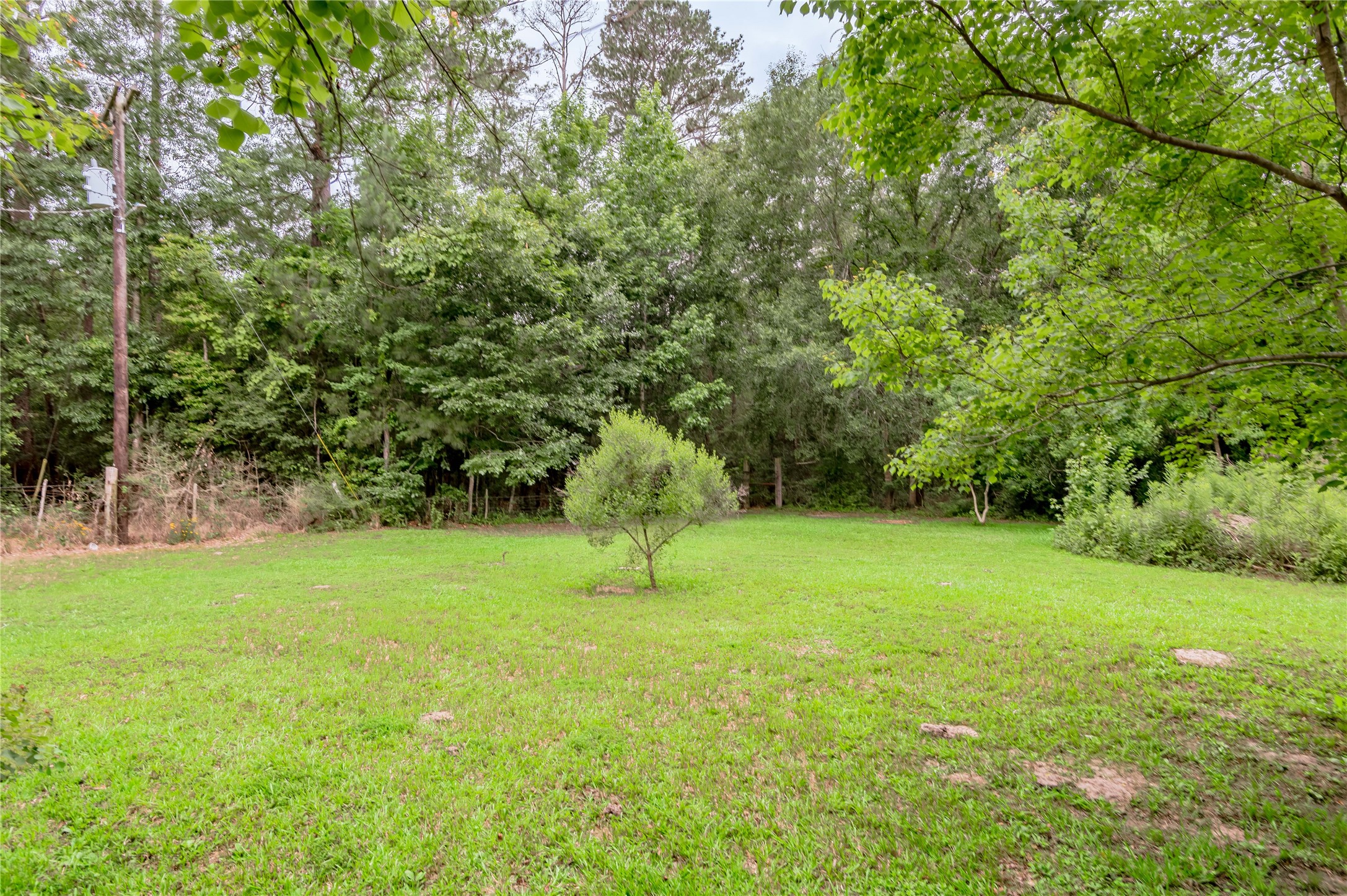 347 Shelby Property Photo 39