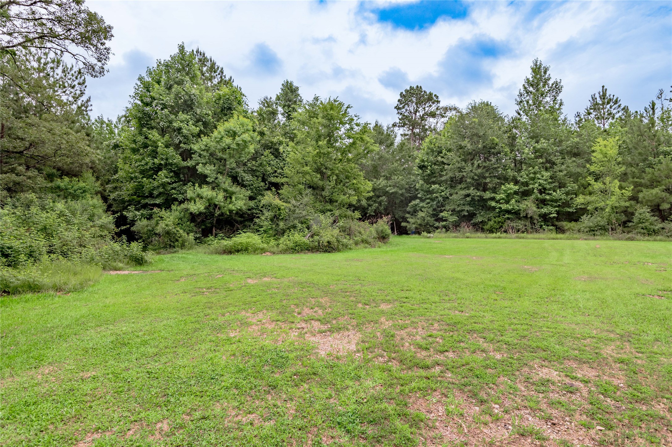 347 Shelby Property Photo 41