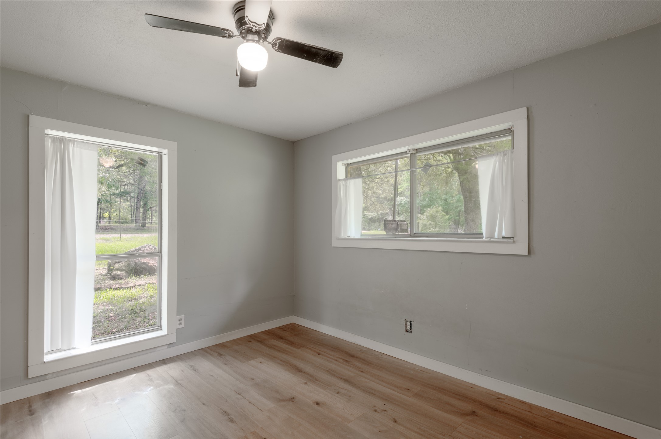 347 Shelby Property Photo 42