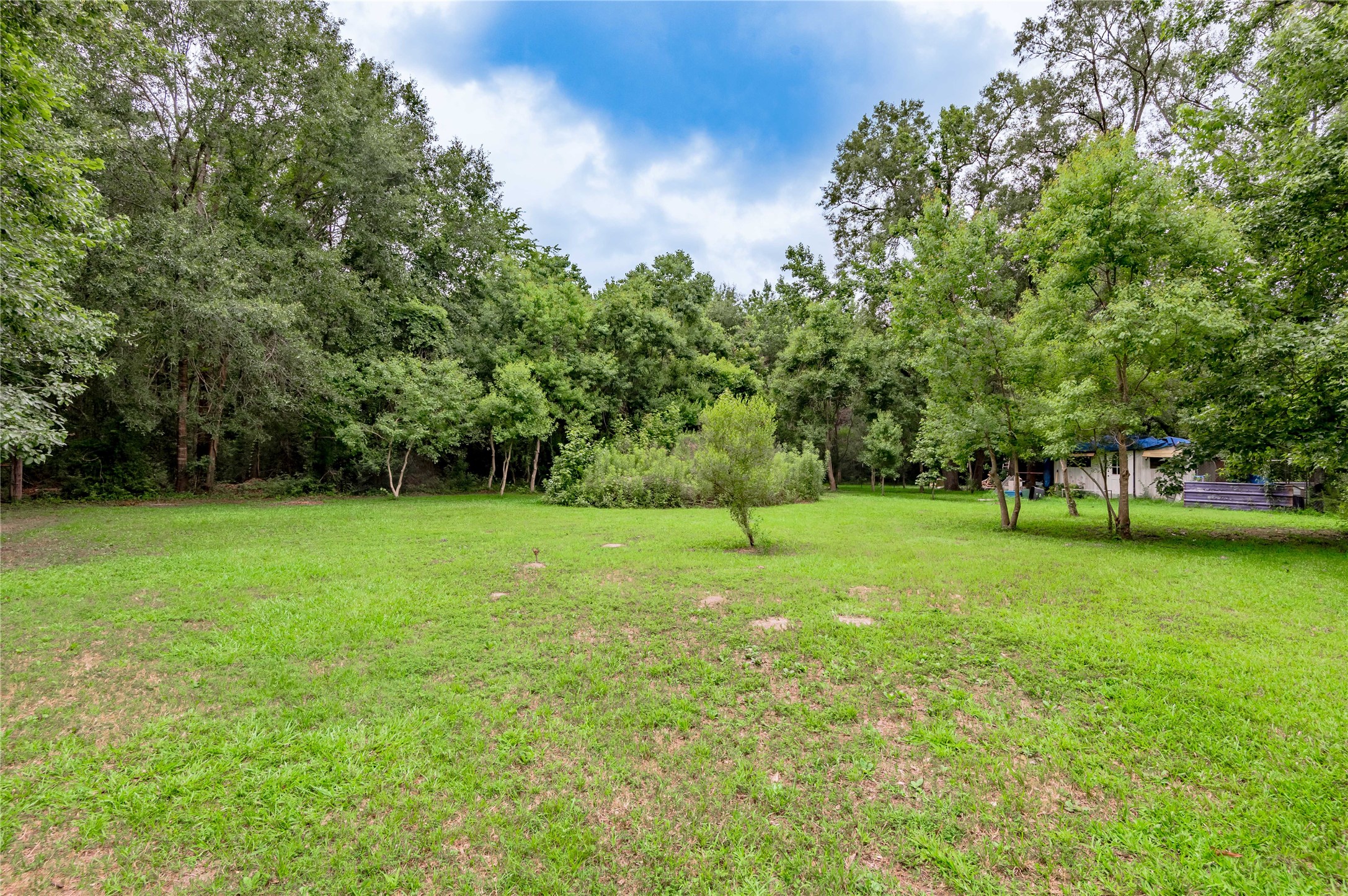 347 Shelby Property Photo 45