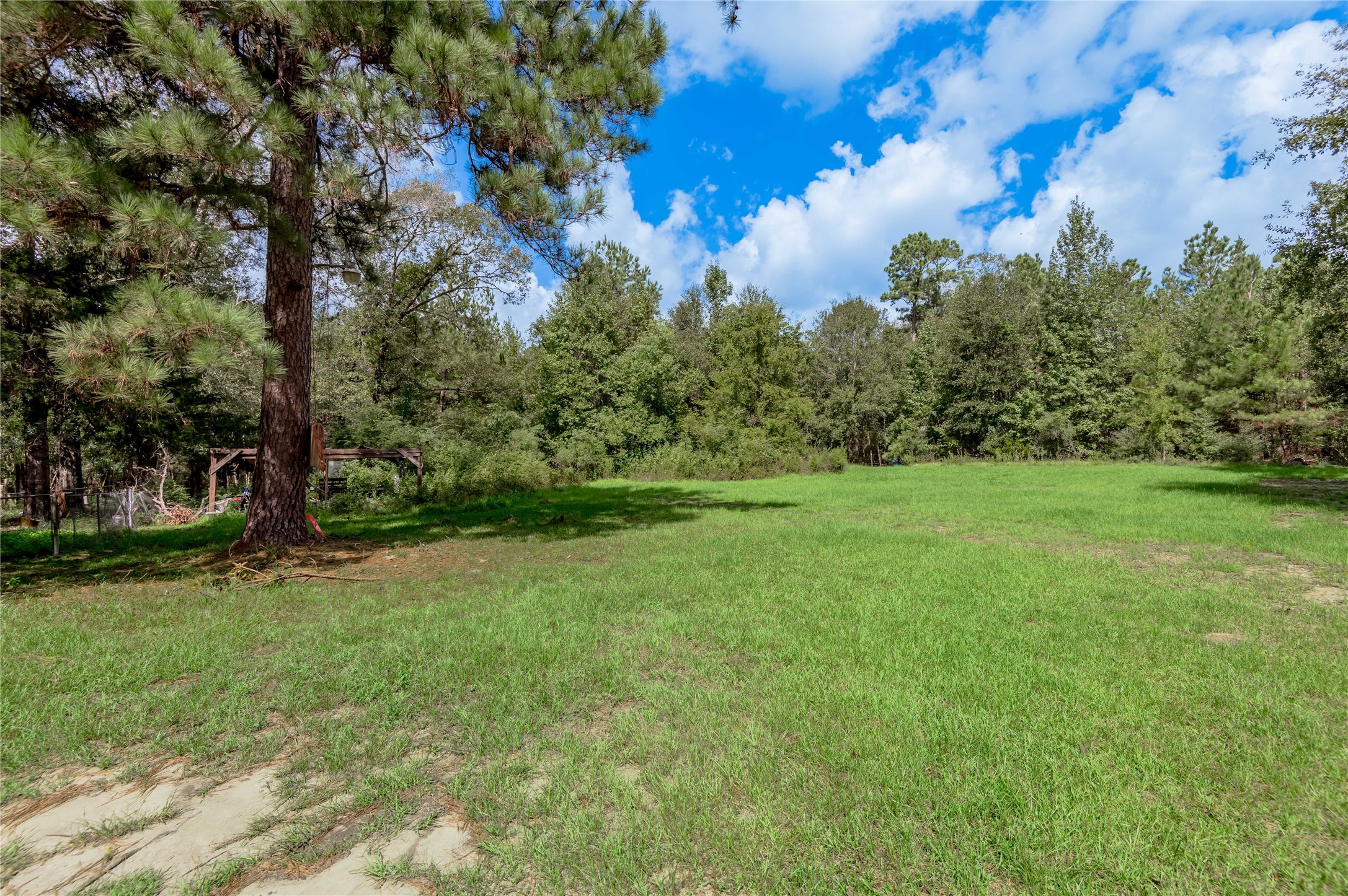 347 Shelby Property Photo 45
