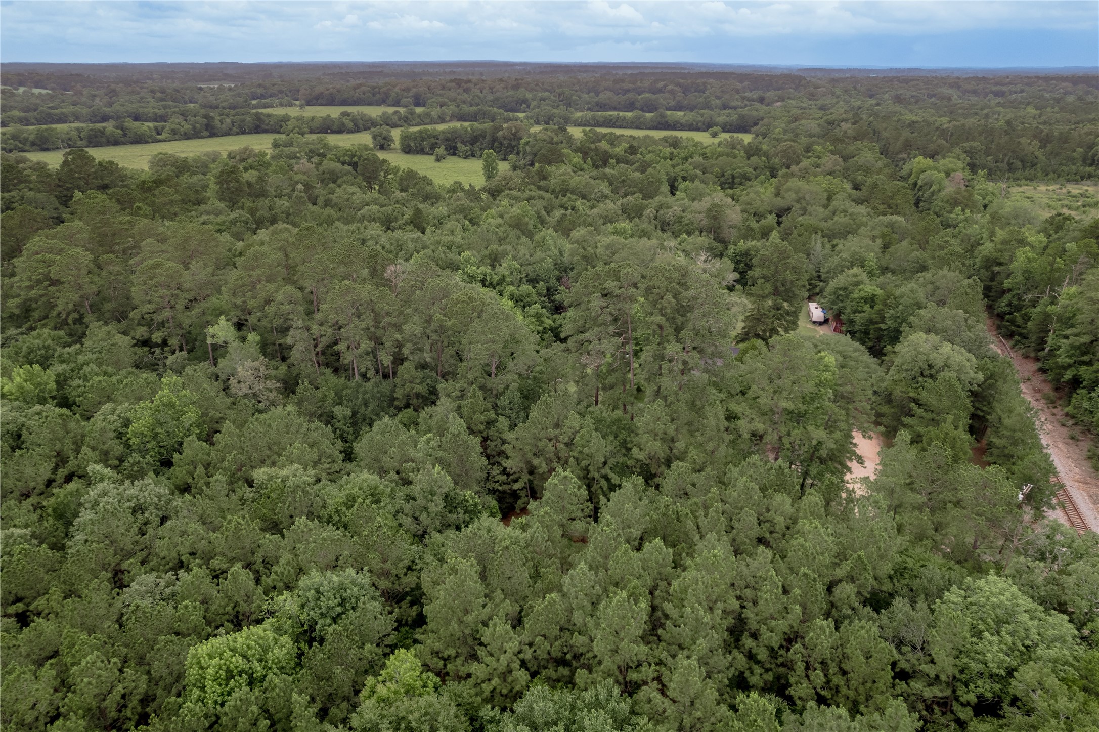 347 Shelby Property Photo 48