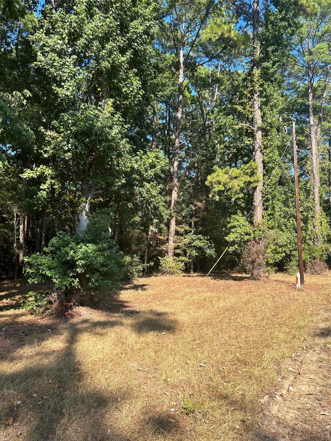 606162 Grand Pine Circle Property Photo 1