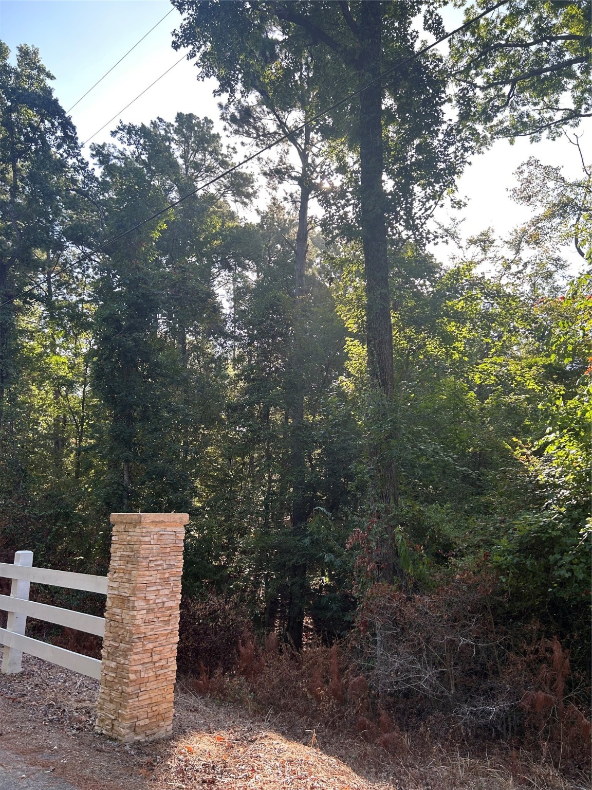 36373839 Rob Property Photo 2