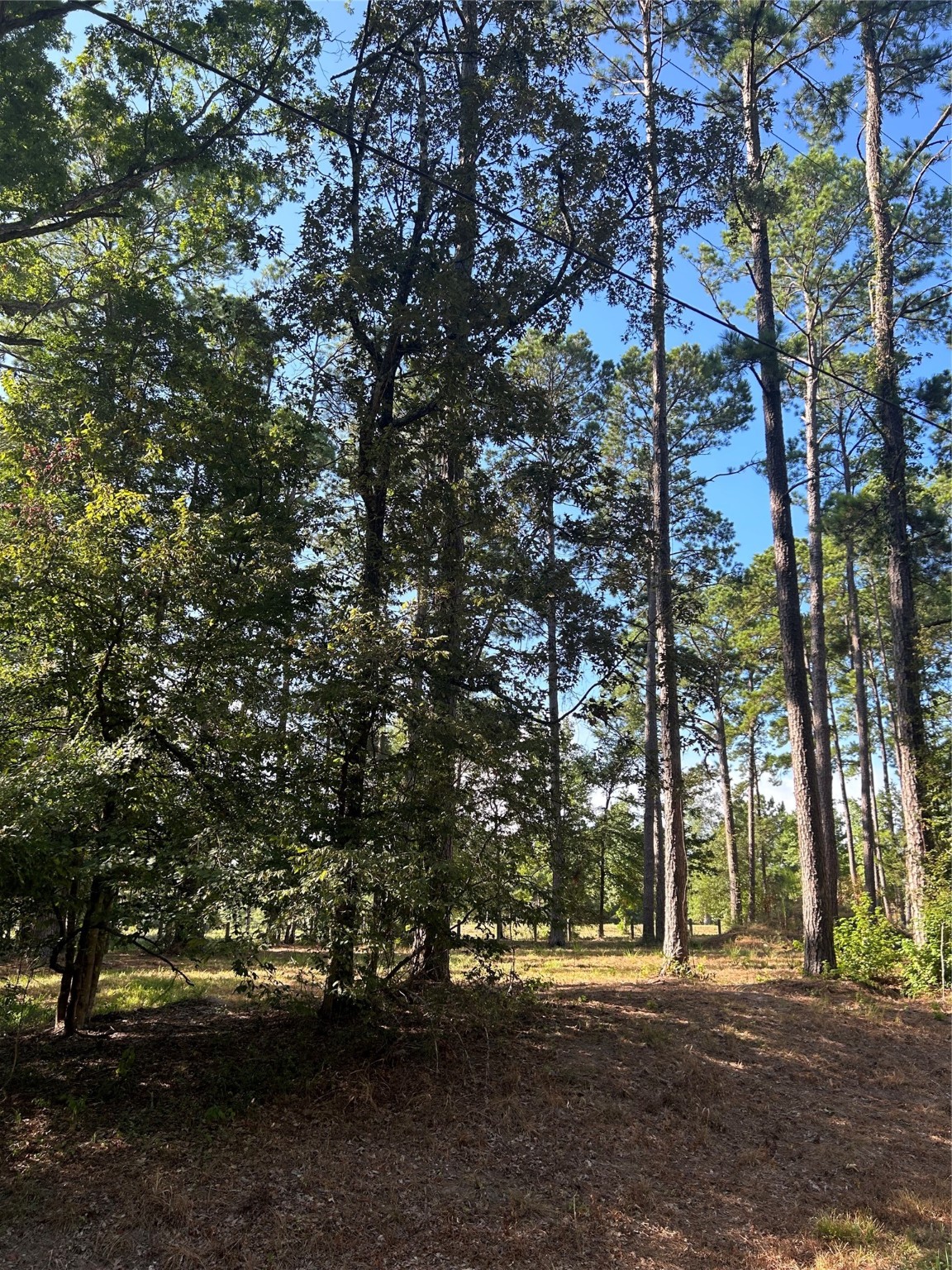 36373839 Rob Property Photo 3