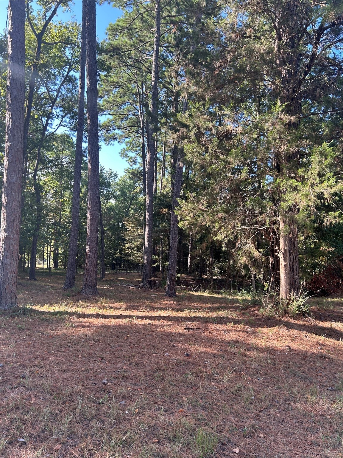 36373839 Rob Property Photo 4