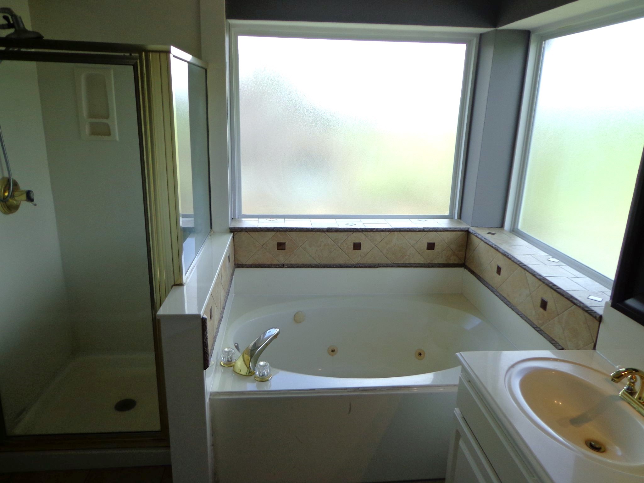 1602 Emerald Lake Court Property Photo 13