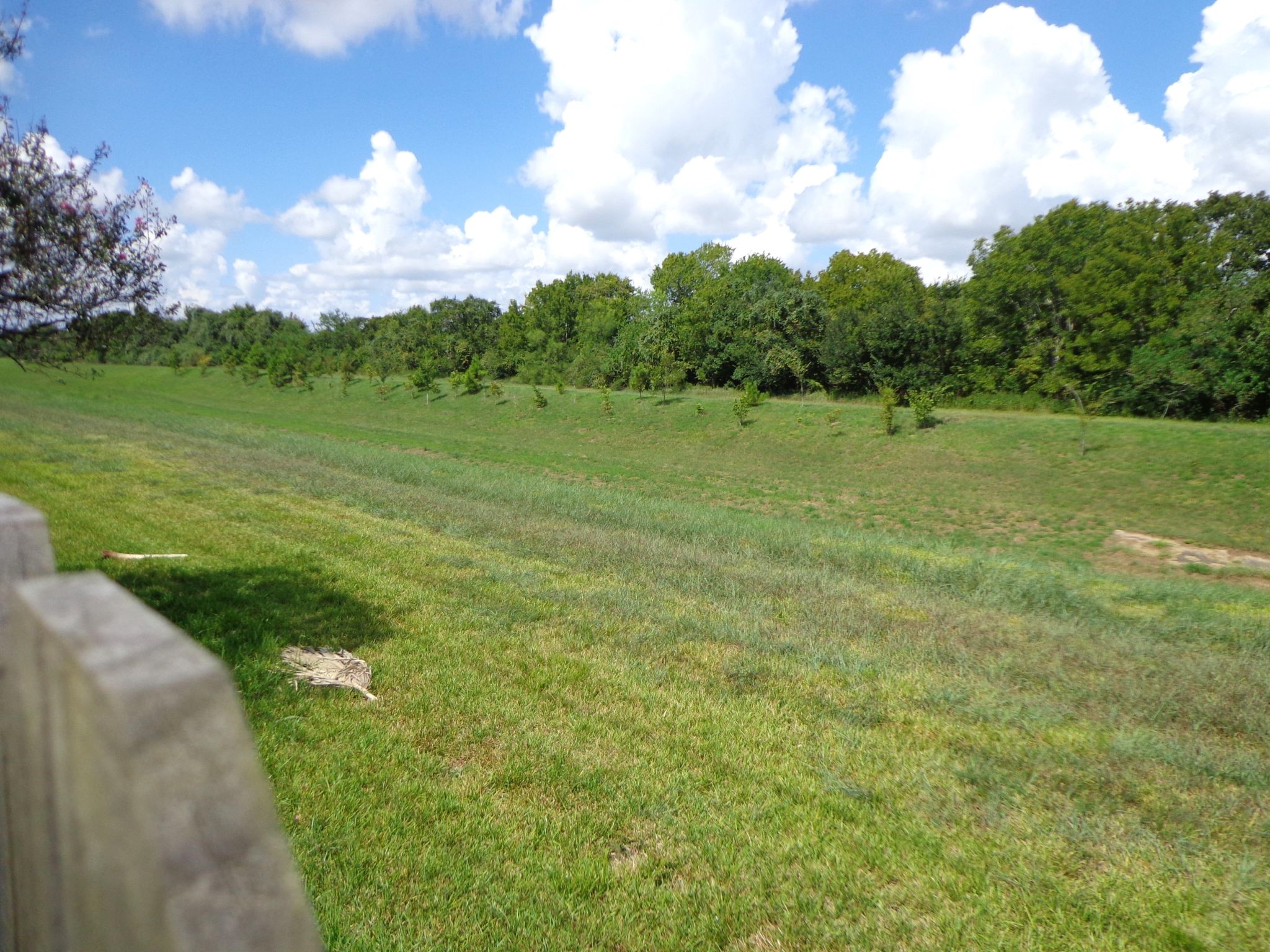 1602 Emerald Lake Court Property Photo 18
