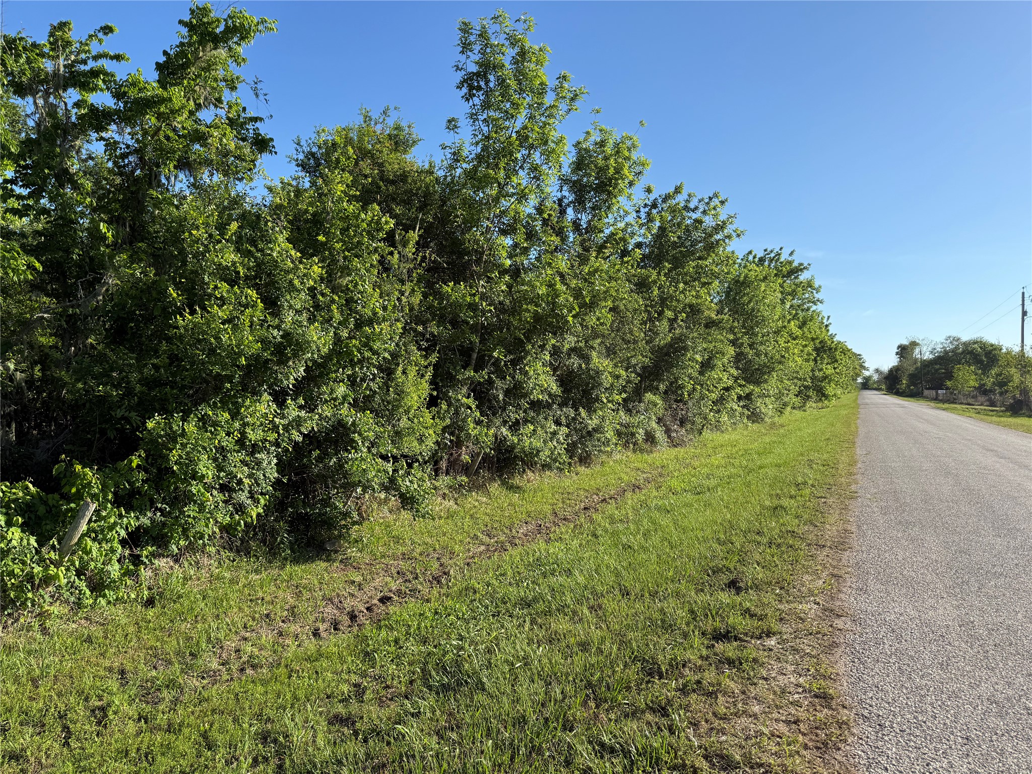 25 Acres Ramblewood Road Property Photo 7