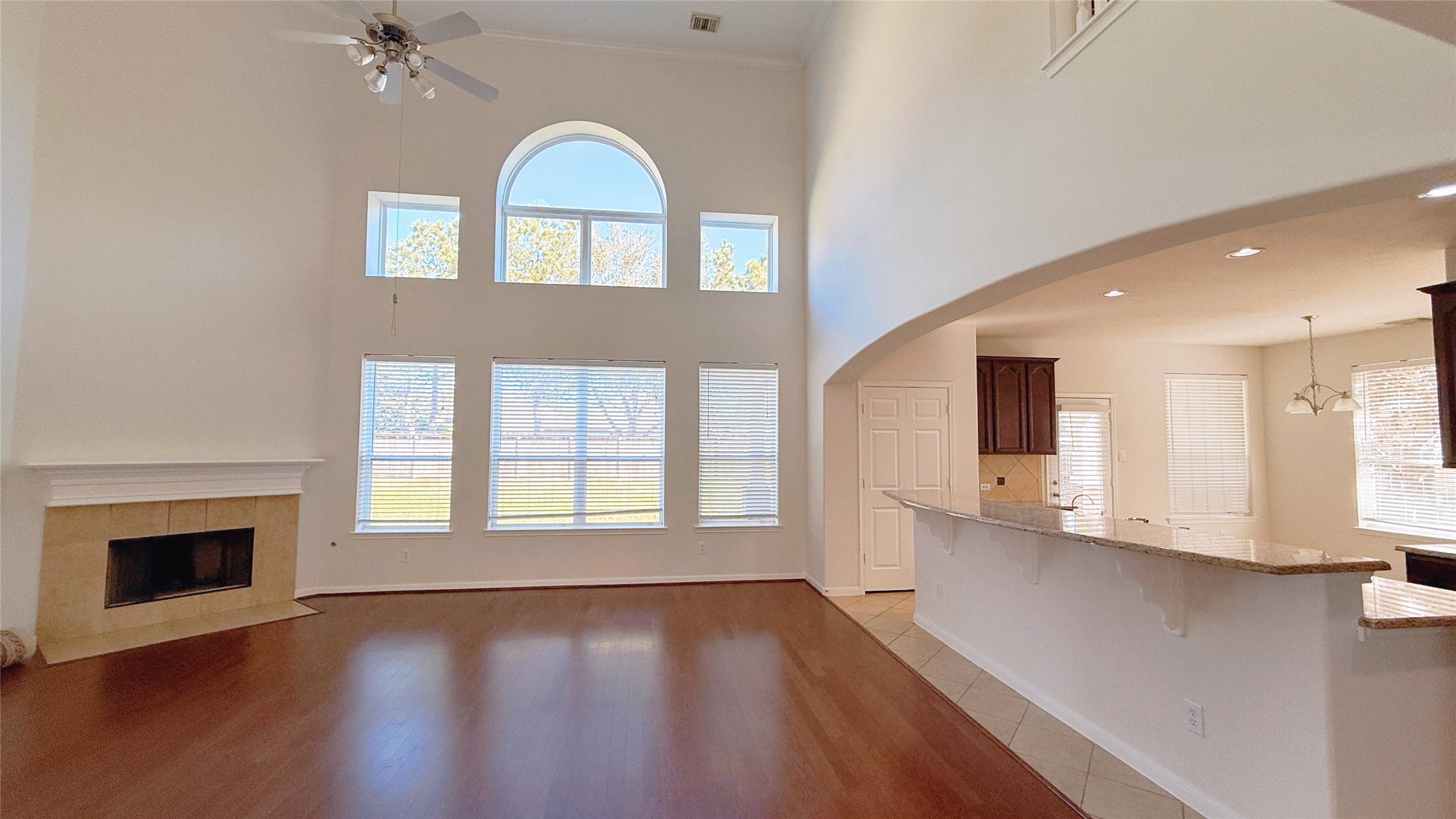 8610 Rising Oak Lane Property Photo 19