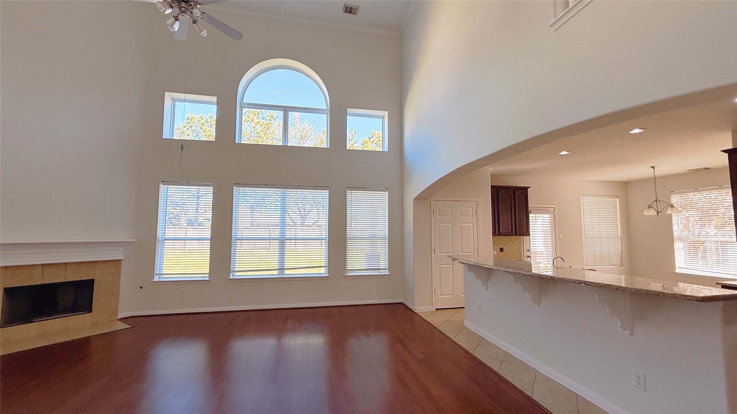 8610 Rising Oak Lane Property Photo 20