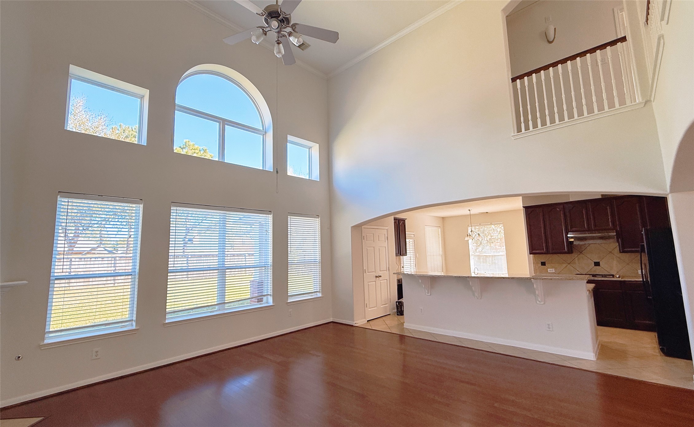 8610 Rising Oak Lane Property Photo 23