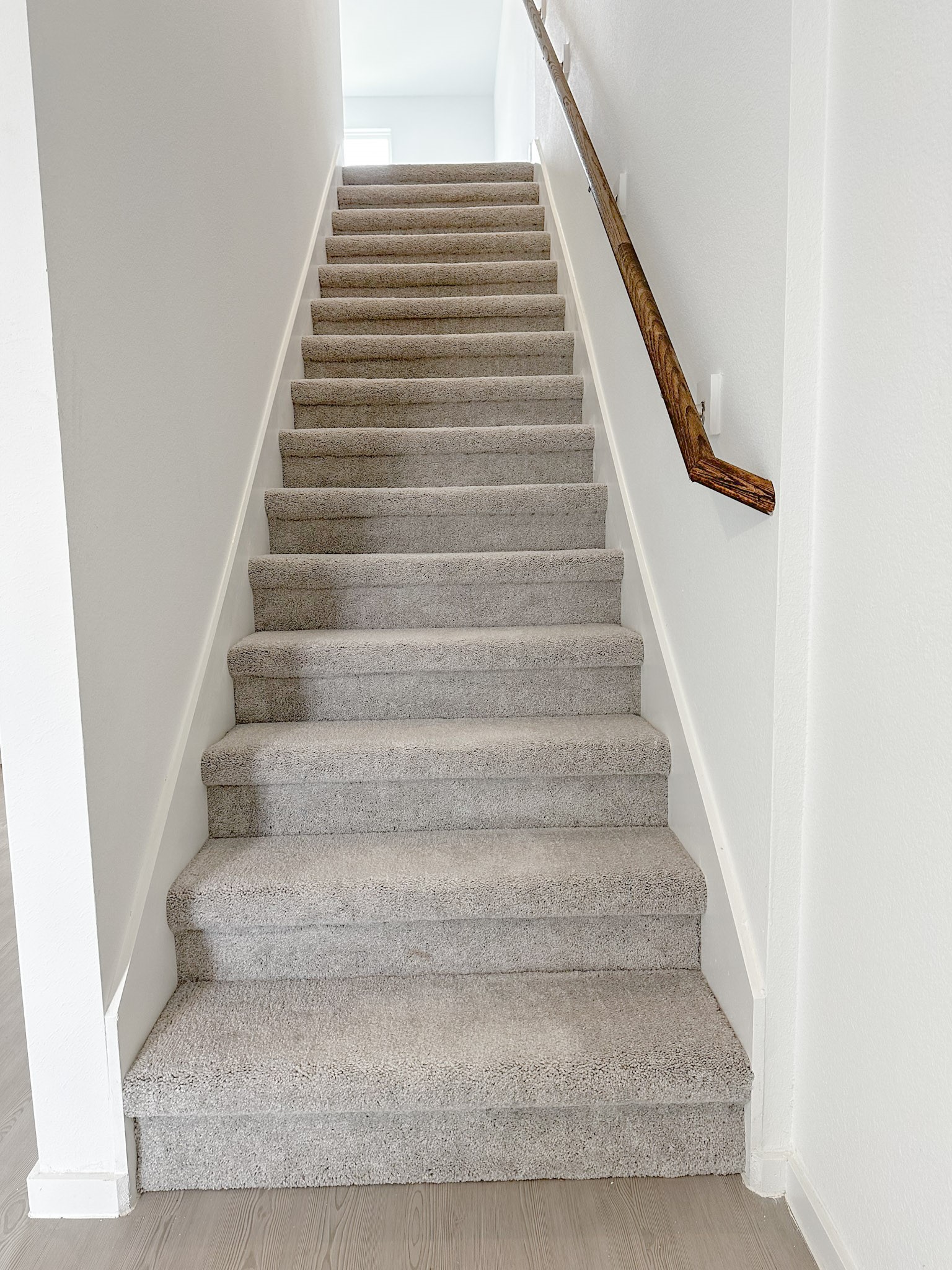 6242 Alder Creek Drive Property Photo 11